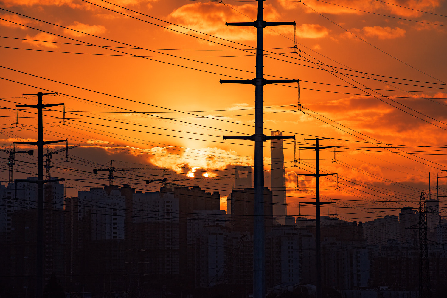 Nikon D810 sample photo