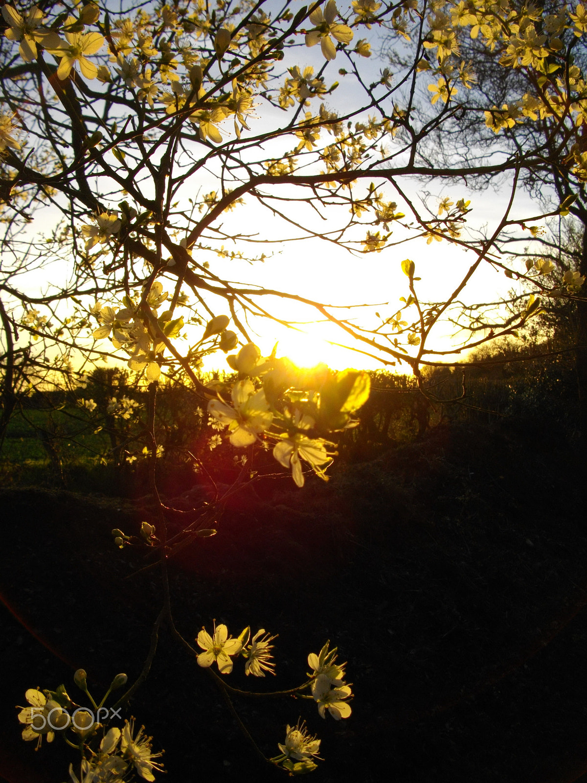 Pentax Optio E60 sample photo. At the end of the day photography