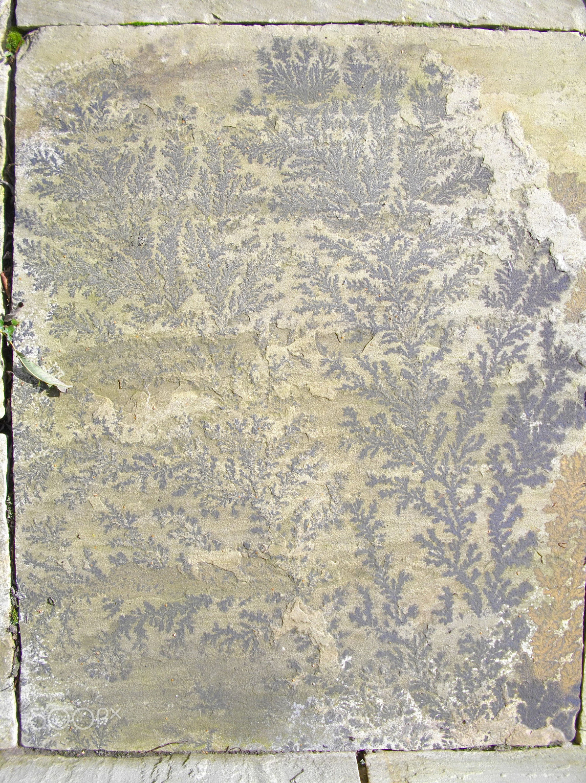 Pentax Optio E60 sample photo. Print transfer on stone photography