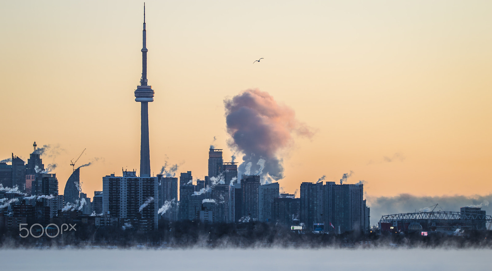 Sigma 150-600mm F5-6.3 DG OS HSM | C sample photo. Cold city photography