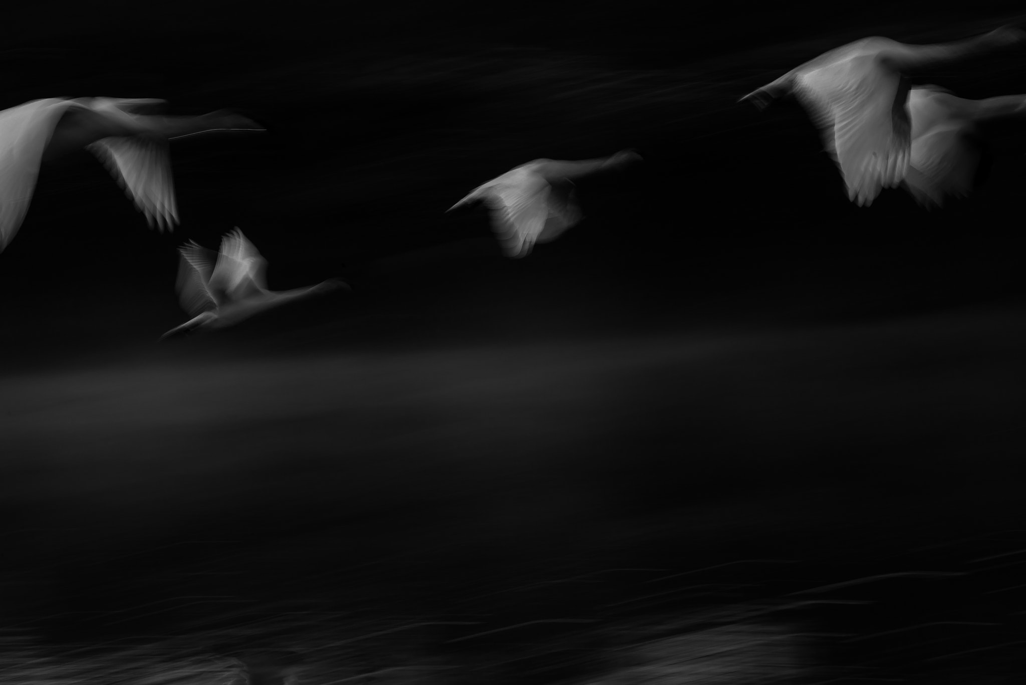 Nikon D800 sample photo. Flying photography