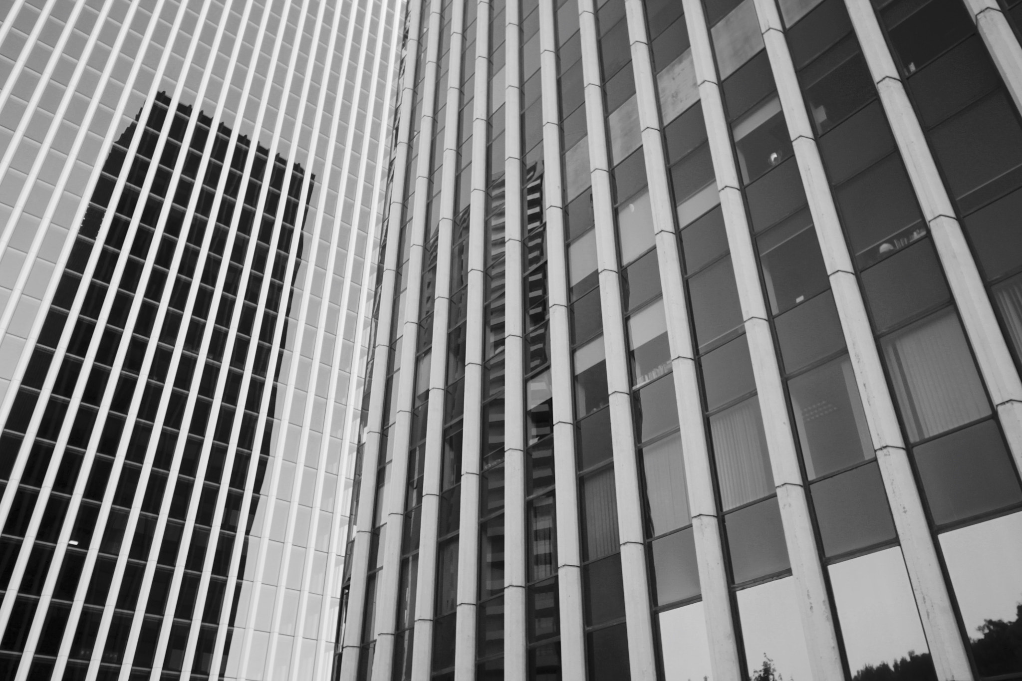 Canon EOS 1100D (EOS Rebel T3 / EOS Kiss X50) sample photo. Dos torres photography