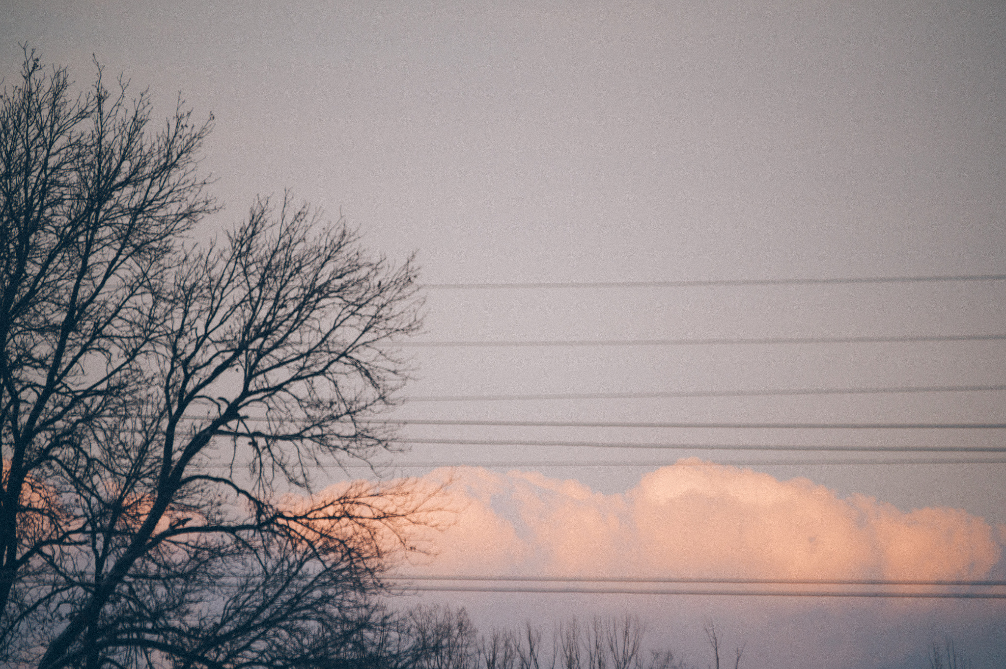 Sony E 55-210mm F4.5-6.3 OSS sample photo. Spring begin photography