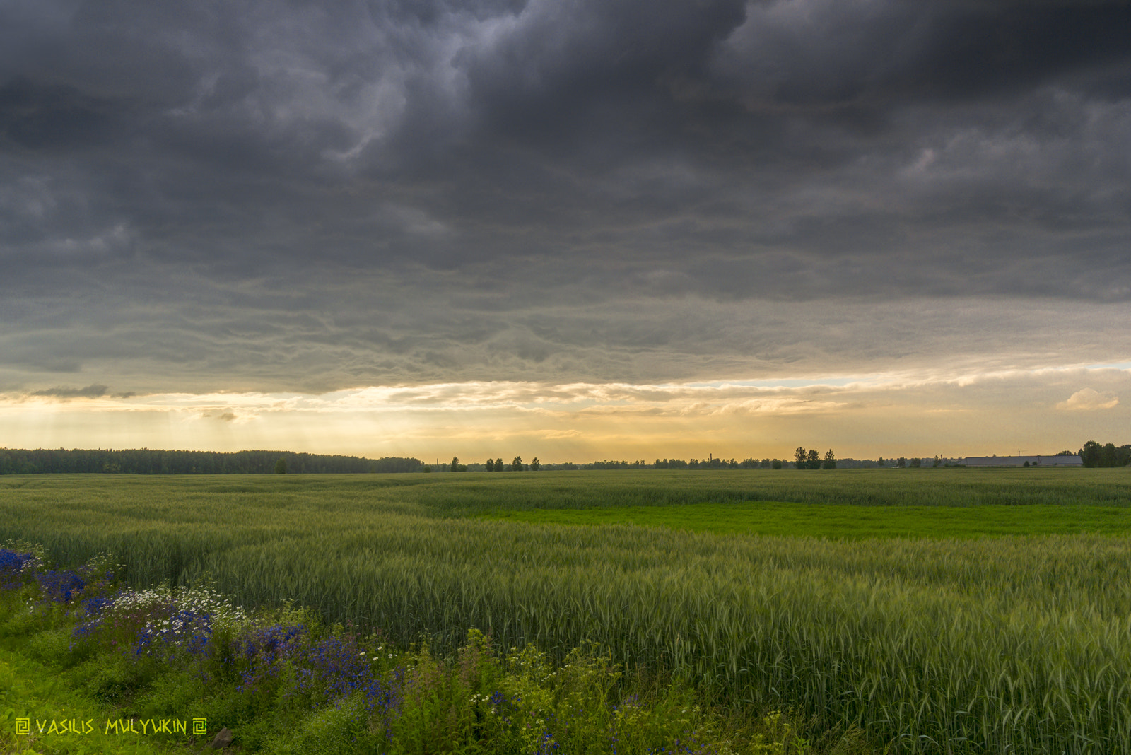 Sony a6000 + Sony E 10-18mm F4 OSS sample photo. Небеса .. photography