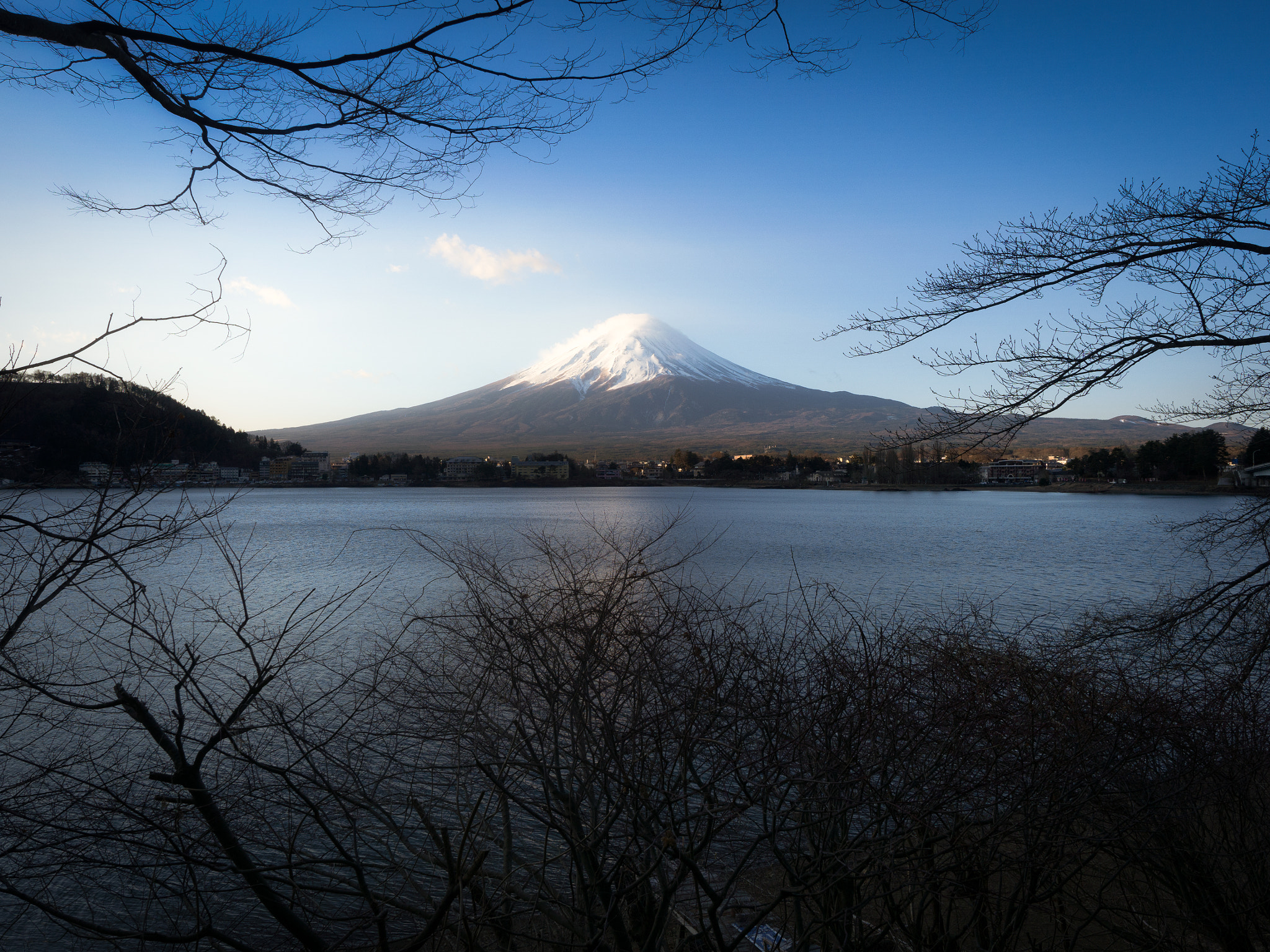 Olympus OM-D E-M10 II + Olympus M.Zuiko Digital ED 12-40mm F2.8 Pro sample photo. Nature frame photography