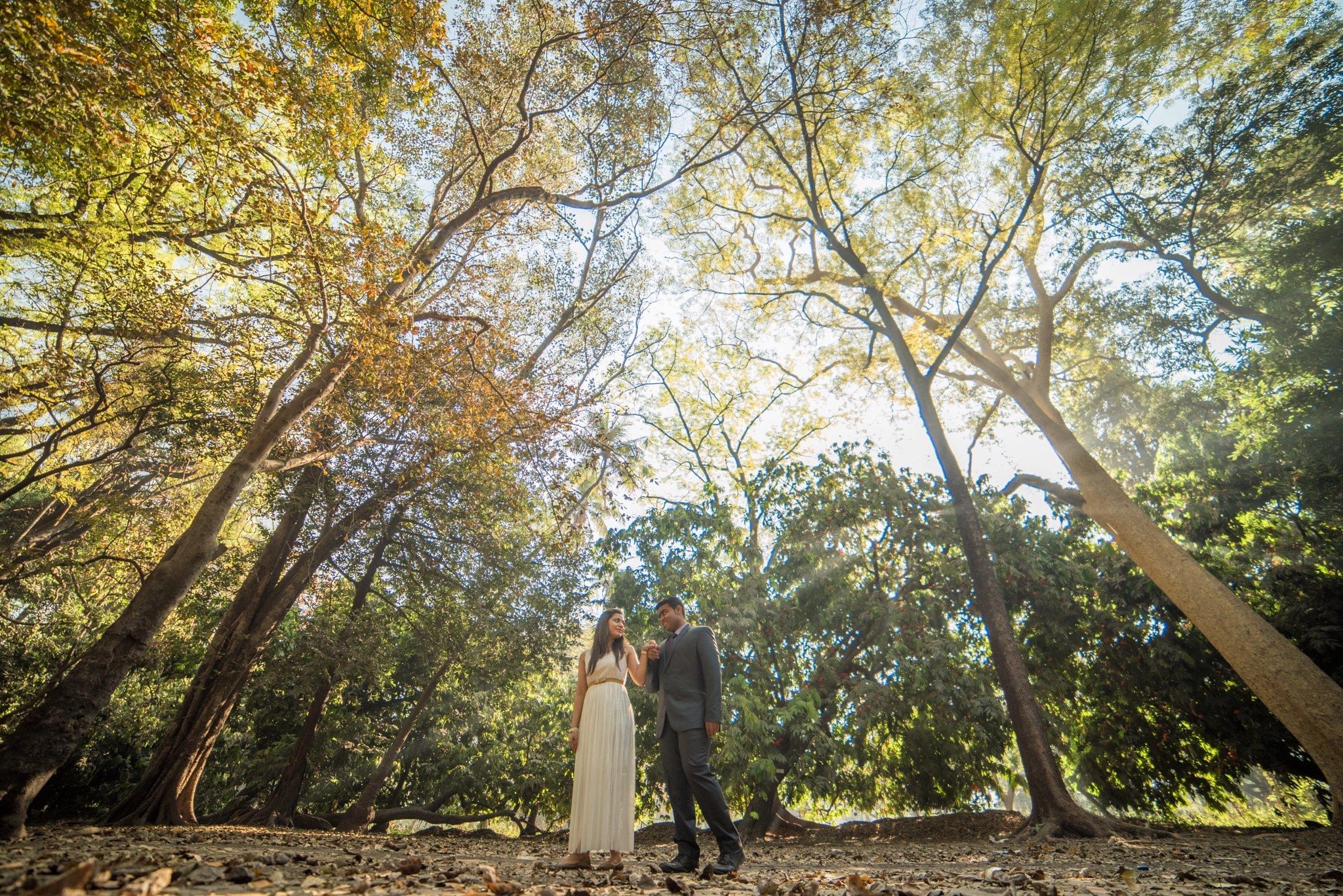 Samyang 14mm F2.8 ED AS IF UMC sample photo. Under the branches photography