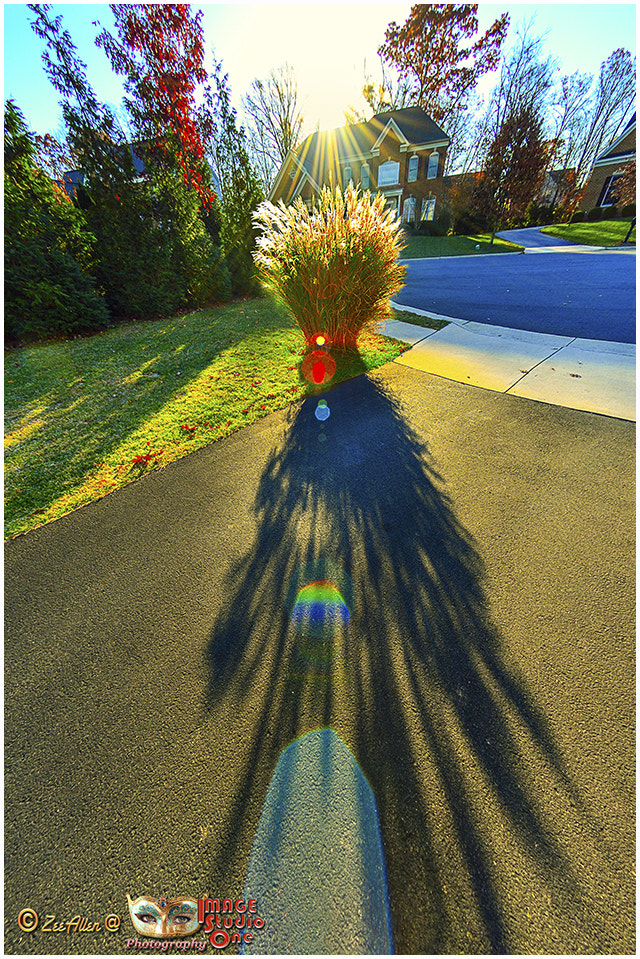 Nikon AF DX Fisheye-Nikkor 10.5mm F2.8G ED sample photo. Surise px photography