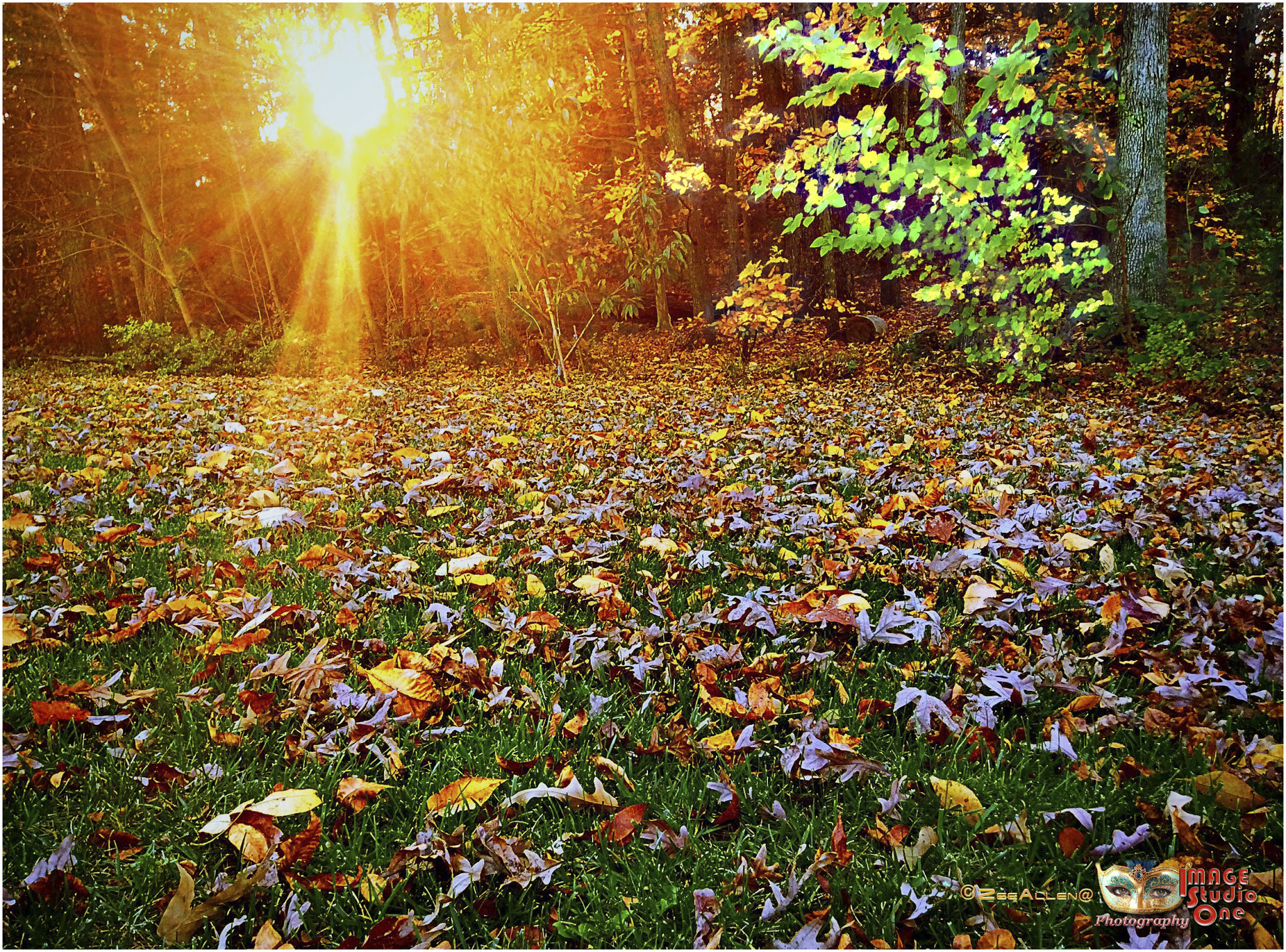 iPad Air back camera 3.3mm f/2.4 sample photo. Sunset in fall photography