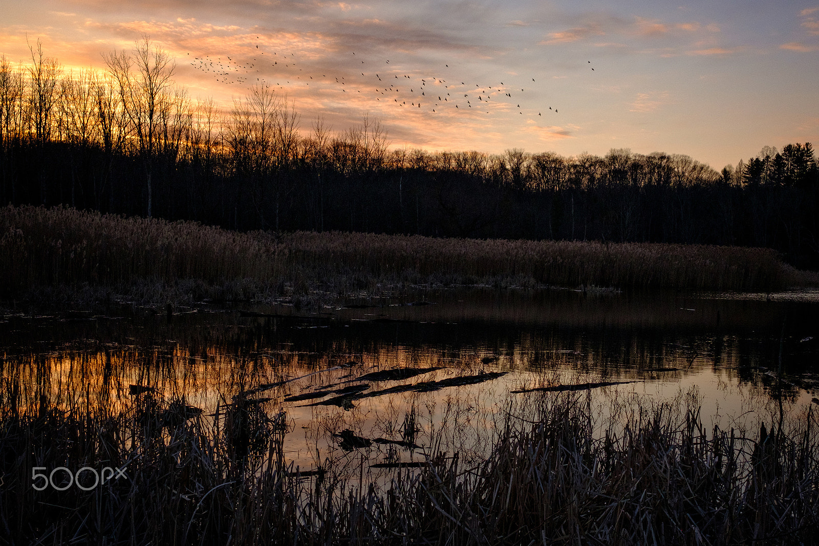 Fujifilm X-T2 + Fujifilm XF 23mm F1.4 R sample photo. Bog sunset photography