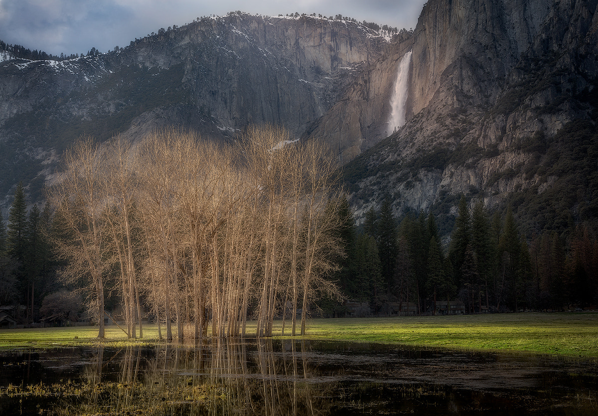 Canon EOS 5DS R sample photo. A wet winter in yosemite photography