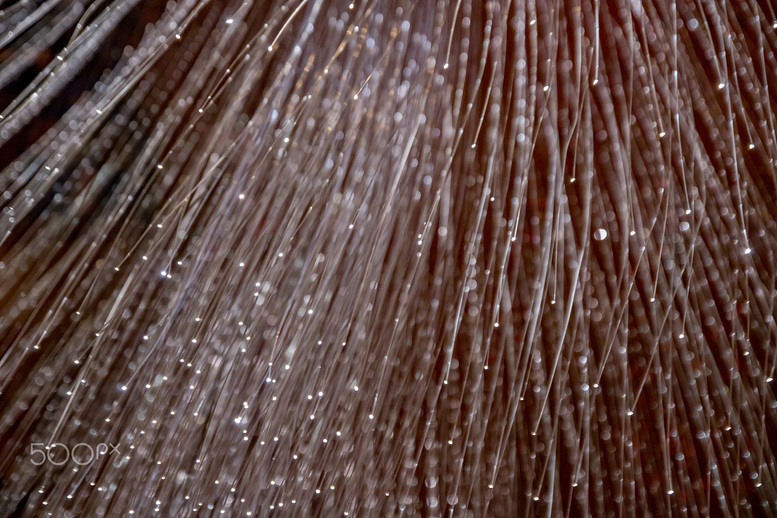 Canon EOS 760D (EOS Rebel T6s / EOS 8000D) sample photo. Fiber optic lights photography