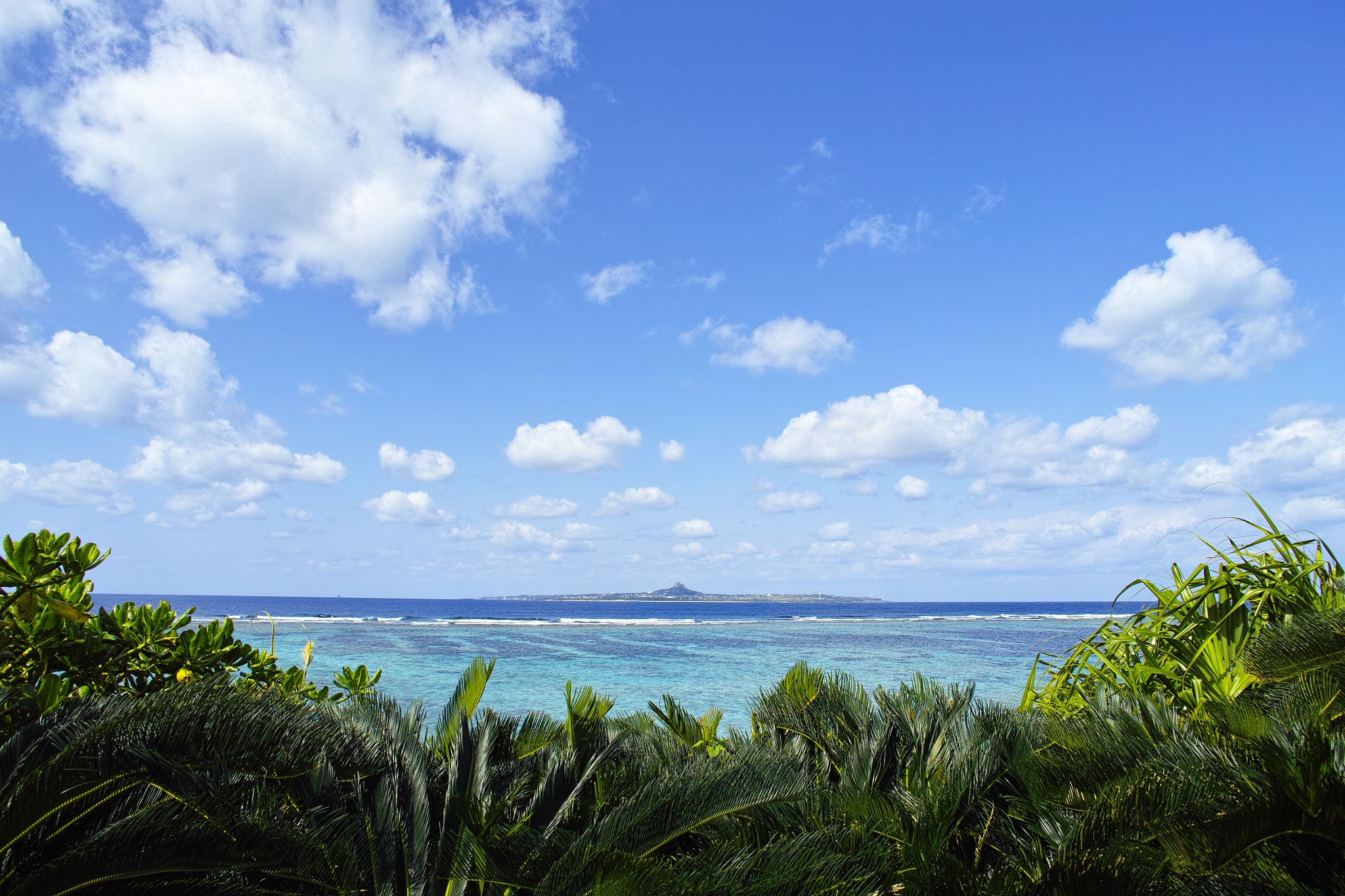 Sigma 19mm F2.8 sample photo. Ieshima island photography