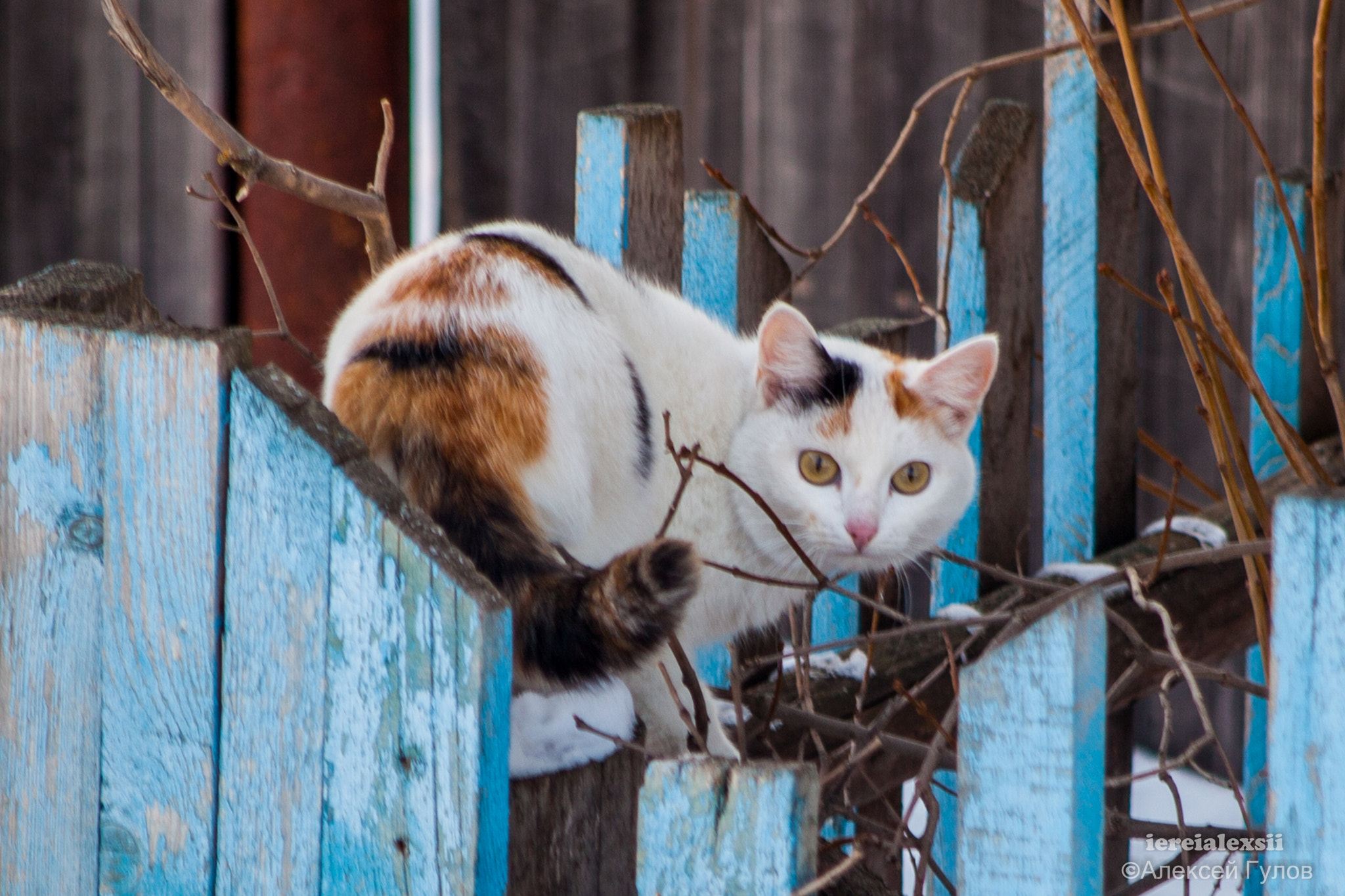 Canon EF 28-105mm f/3.5-4.5 USM sample photo