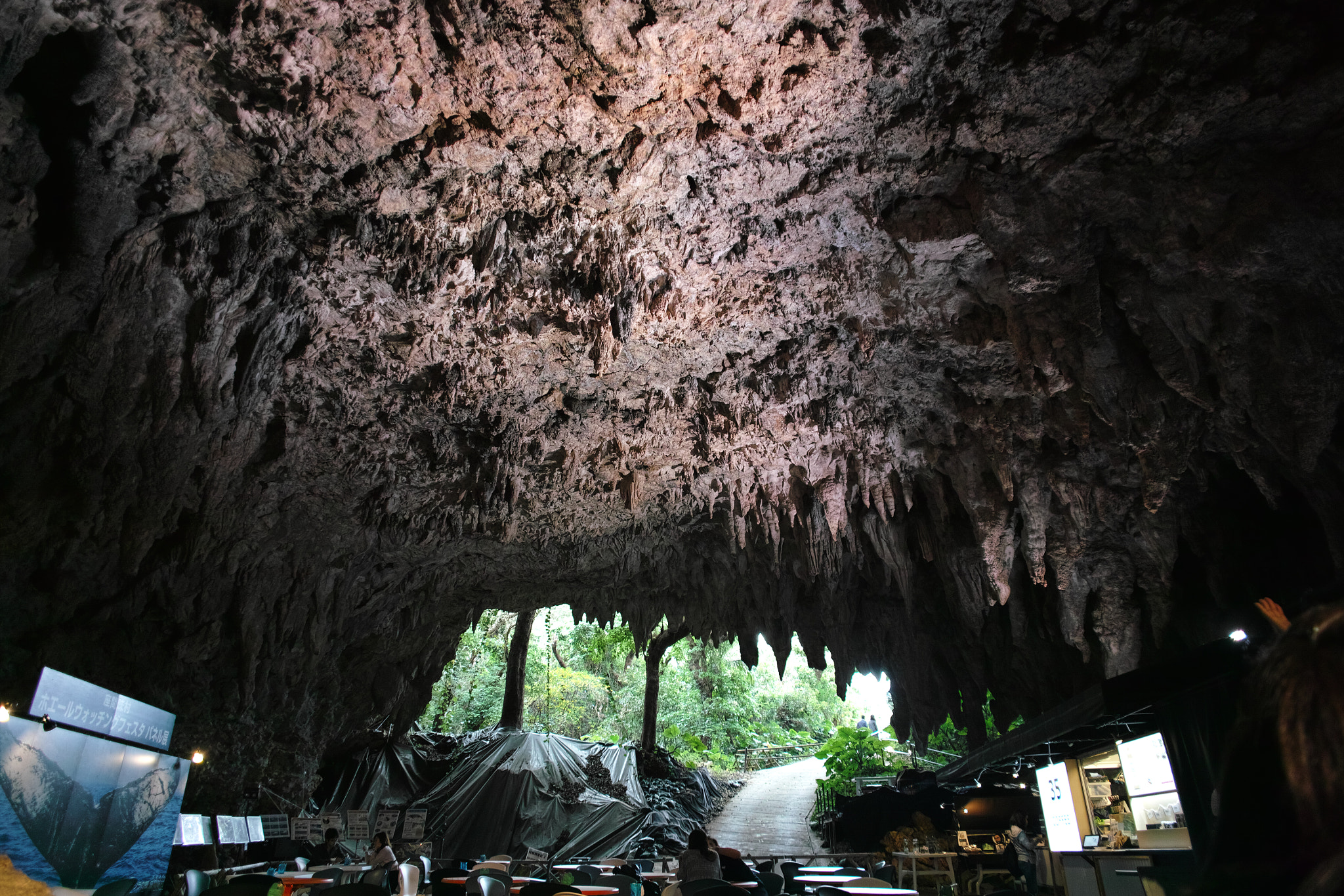 Sigma DP1 Merrill sample photo. Cave cafe photography