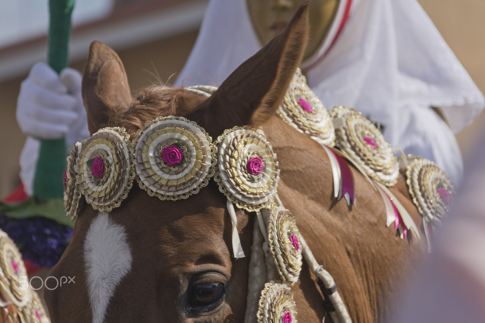 Sigma 18-250mm F3.5-6.3 DC Macro OS HSM sample photo. Sartiglia 2017 photography
