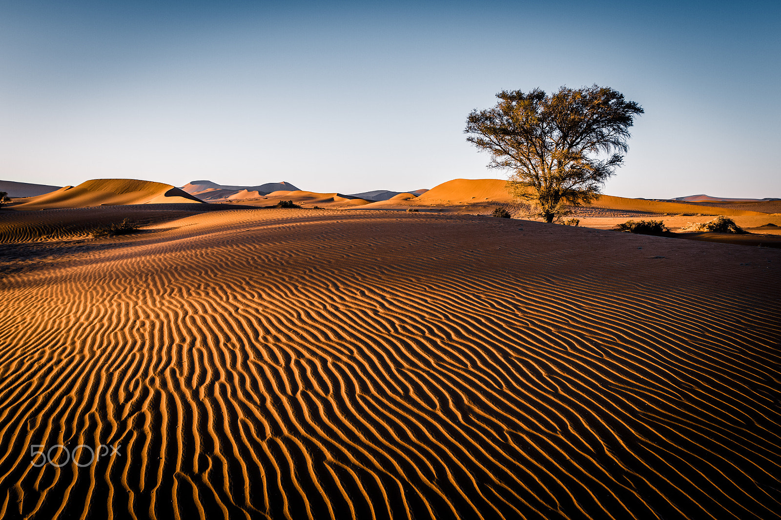 Canon EF 16-35mm F2.8L II USM sample photo. Rippled sanddunes photography