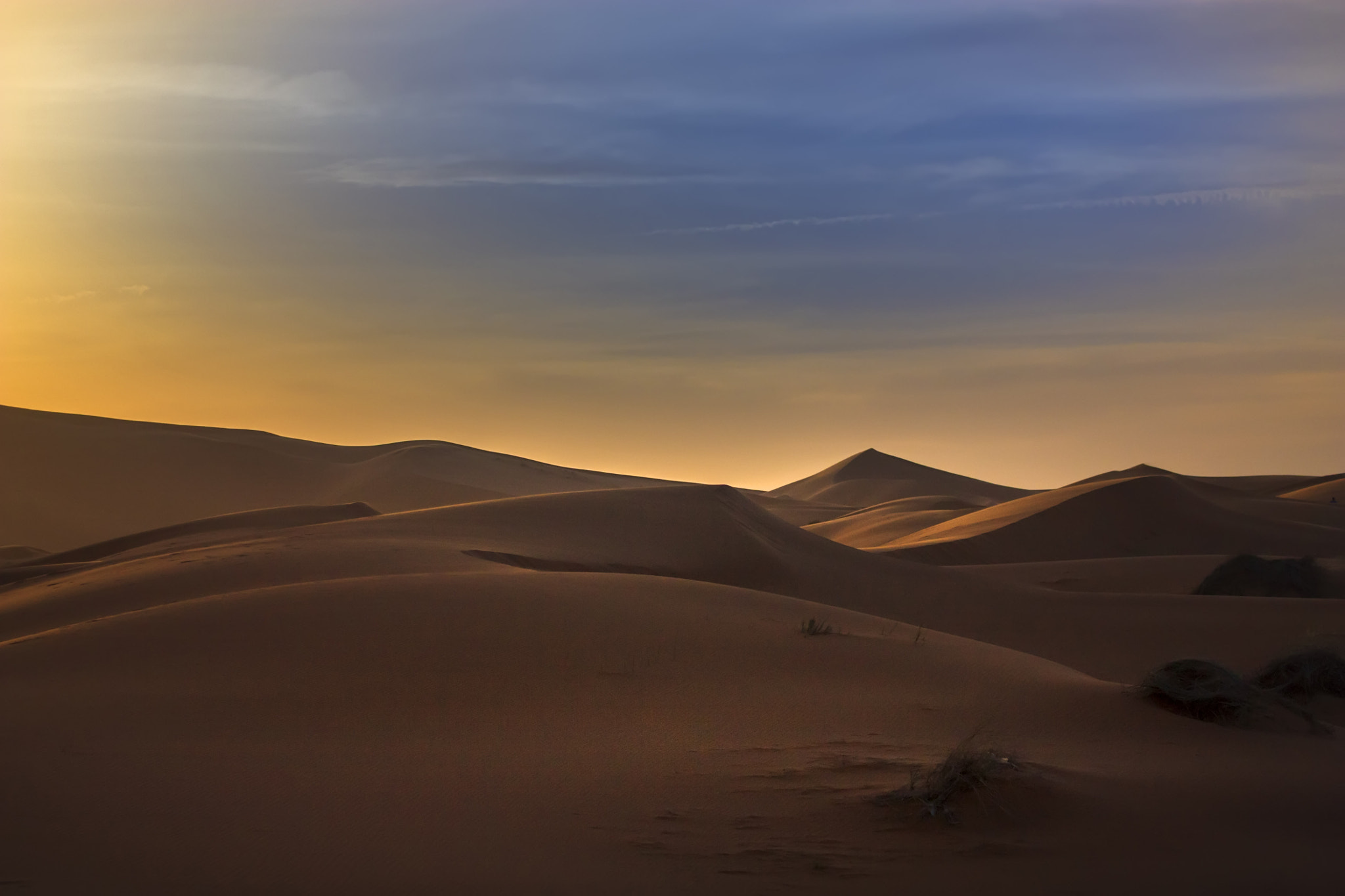 Canon EF 70-300mm F4-5.6L IS USM sample photo. Sahara photography