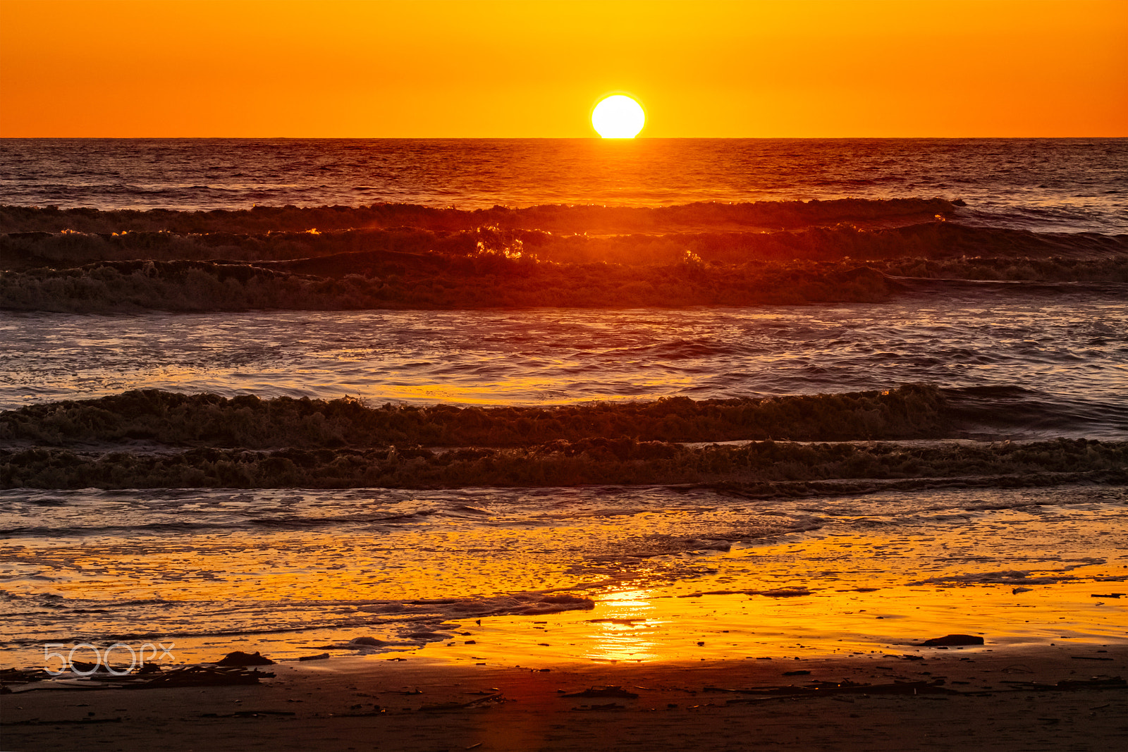 Nikon D500 sample photo. Golden sunset at oceanside beach - february 28, 2017 photography