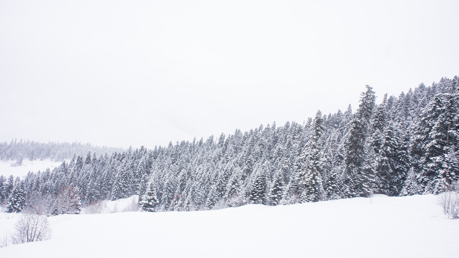 Sony Alpha NEX-7 + Sony E 18-55mm F3.5-5.6 OSS sample photo. Winter photography