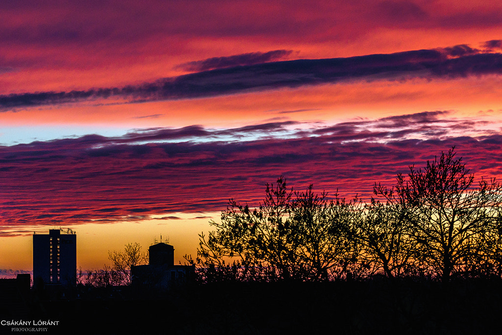 Nikon D500 sample photo. Colorful sunset photography