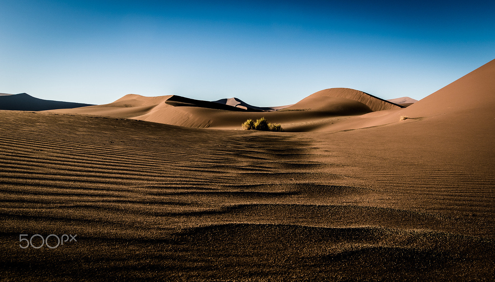 Canon EF 16-35mm F2.8L II USM sample photo. Namib desert photography