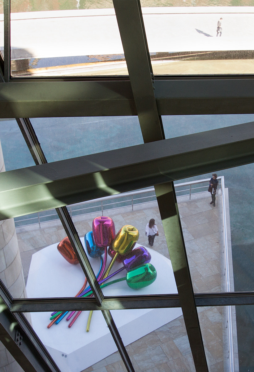 Sigma 10-20mm F3.5 EX DC HSM sample photo. Through the window photography