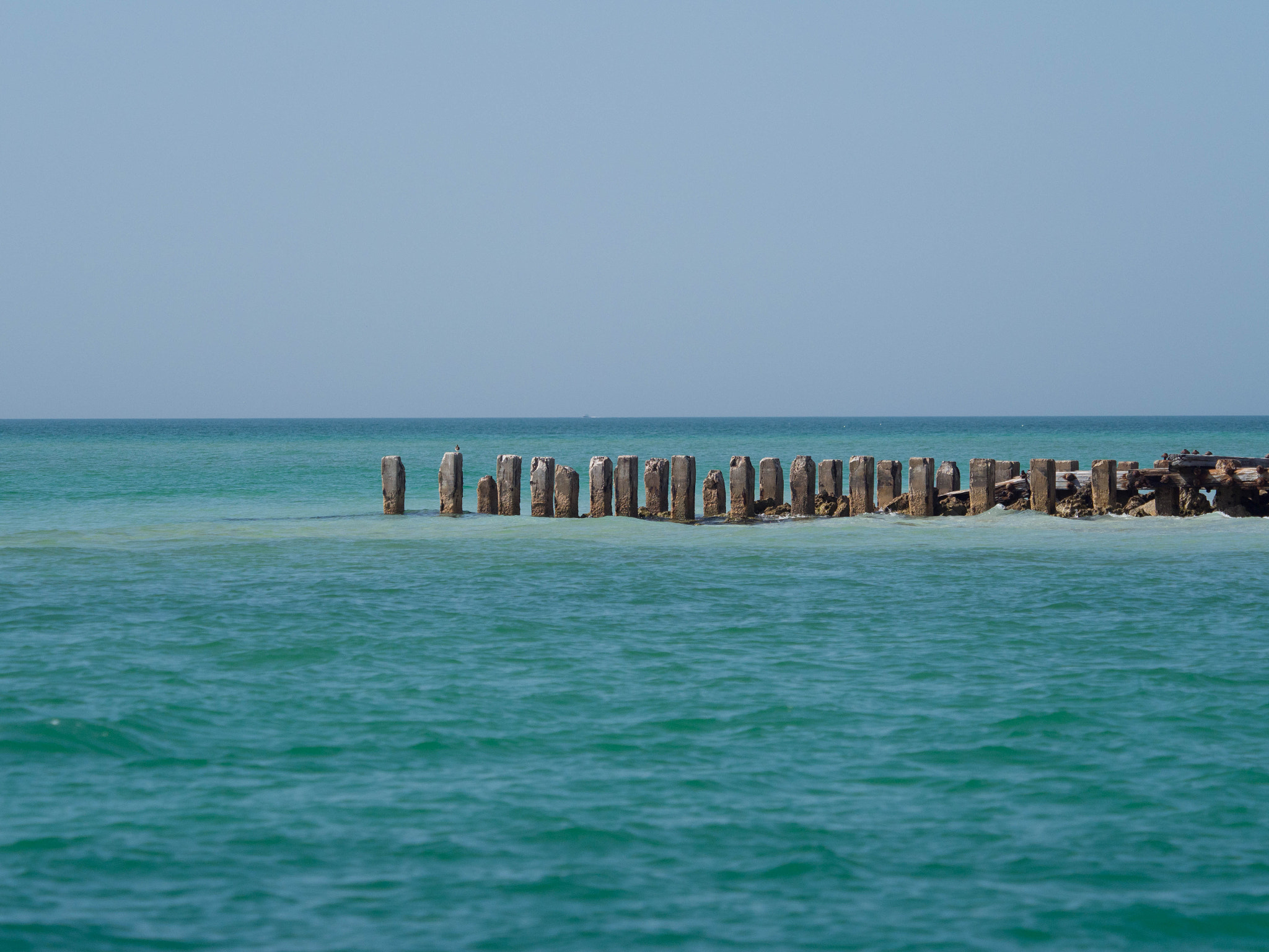 Olympus OM-D E-M1 Mark II + Olympus M.Zuiko Digital ED 40-150mm F2.8 Pro sample photo. Sea fence photography