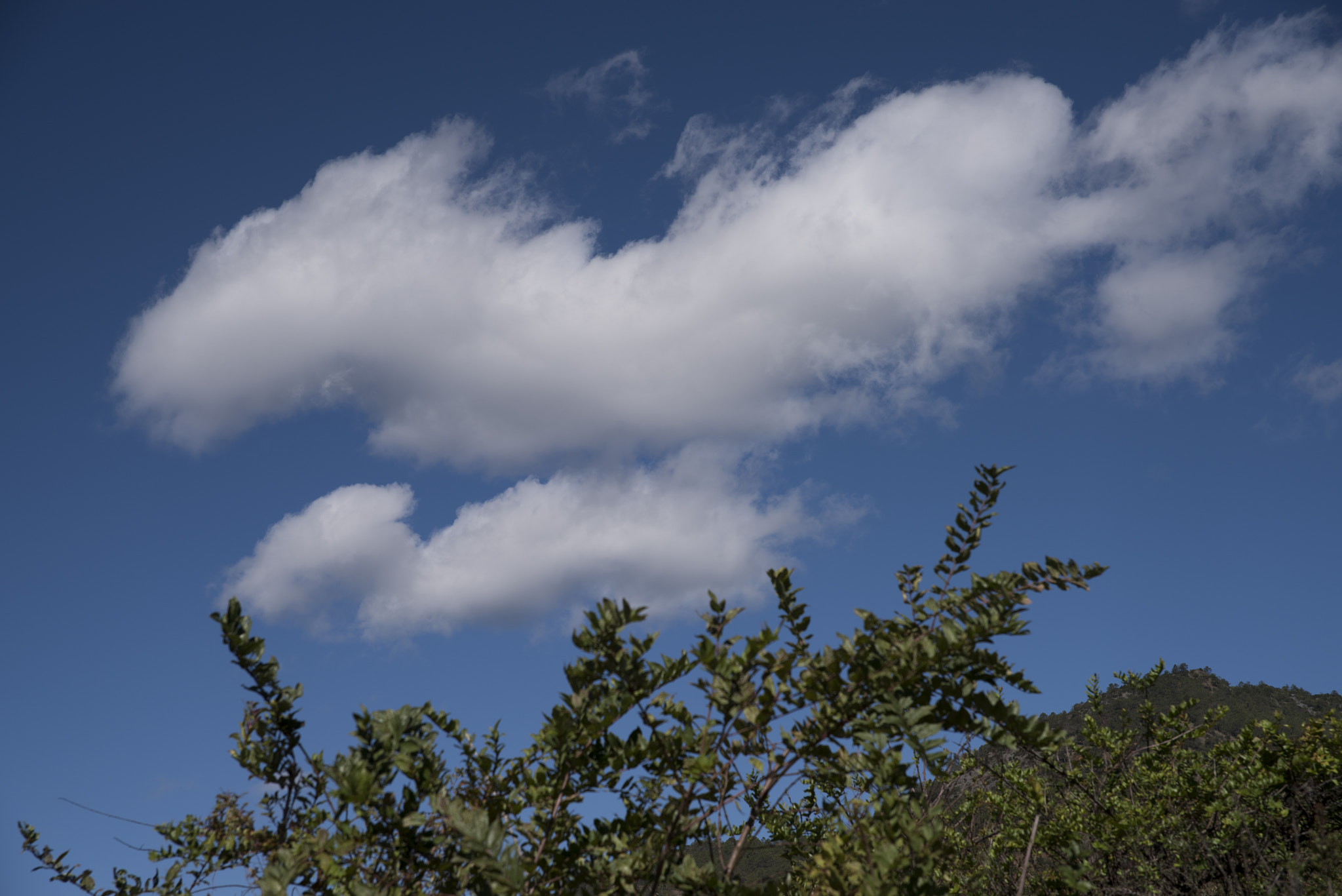 Sigma 24-70mm F2.8 EX DG HSM sample photo. 茶马古道骑马拍到的 photography