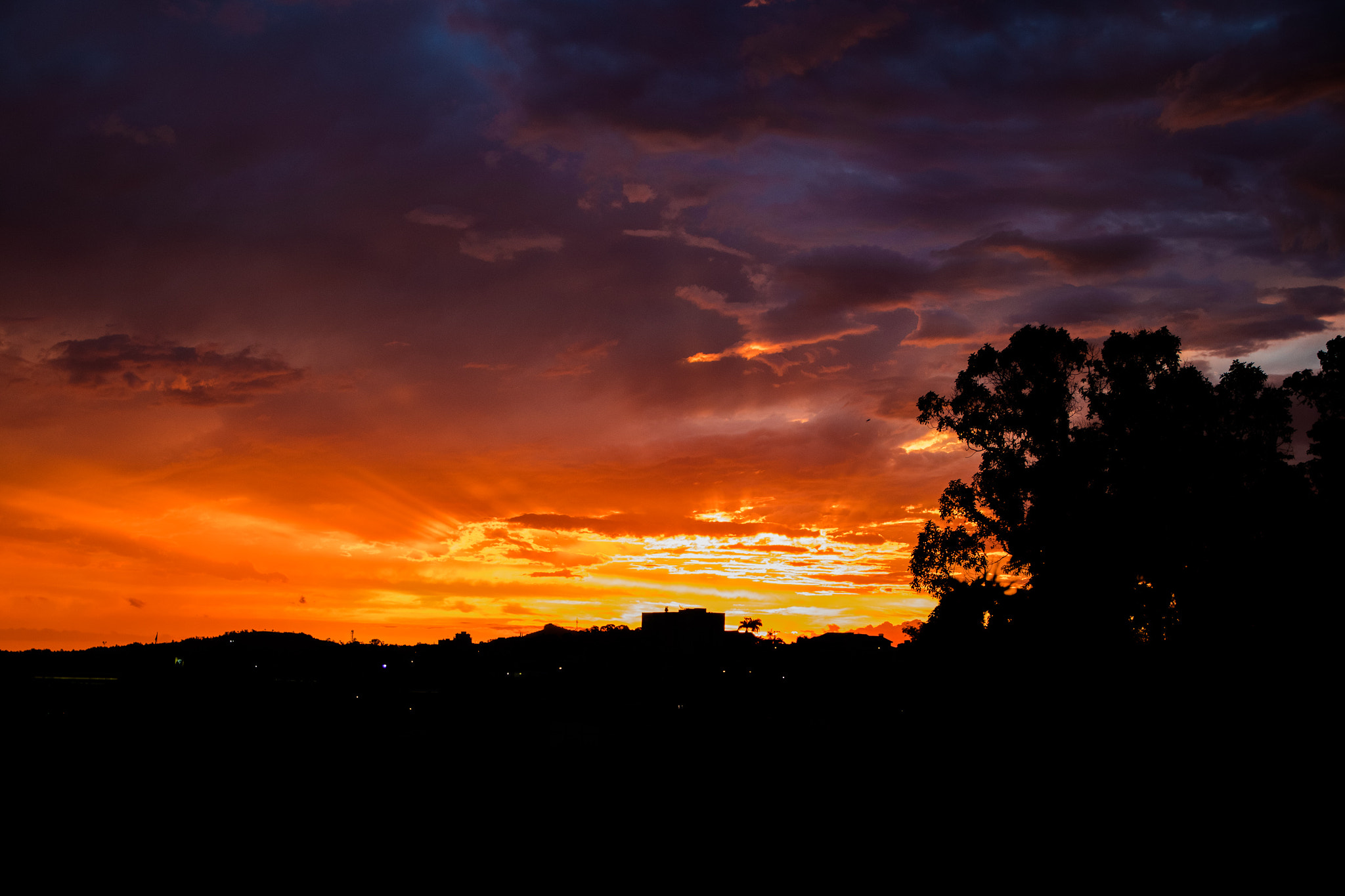 Canon EOS 80D + Sigma 17-70mm F2.8-4 DC Macro OS HSM sample photo. From my window photography