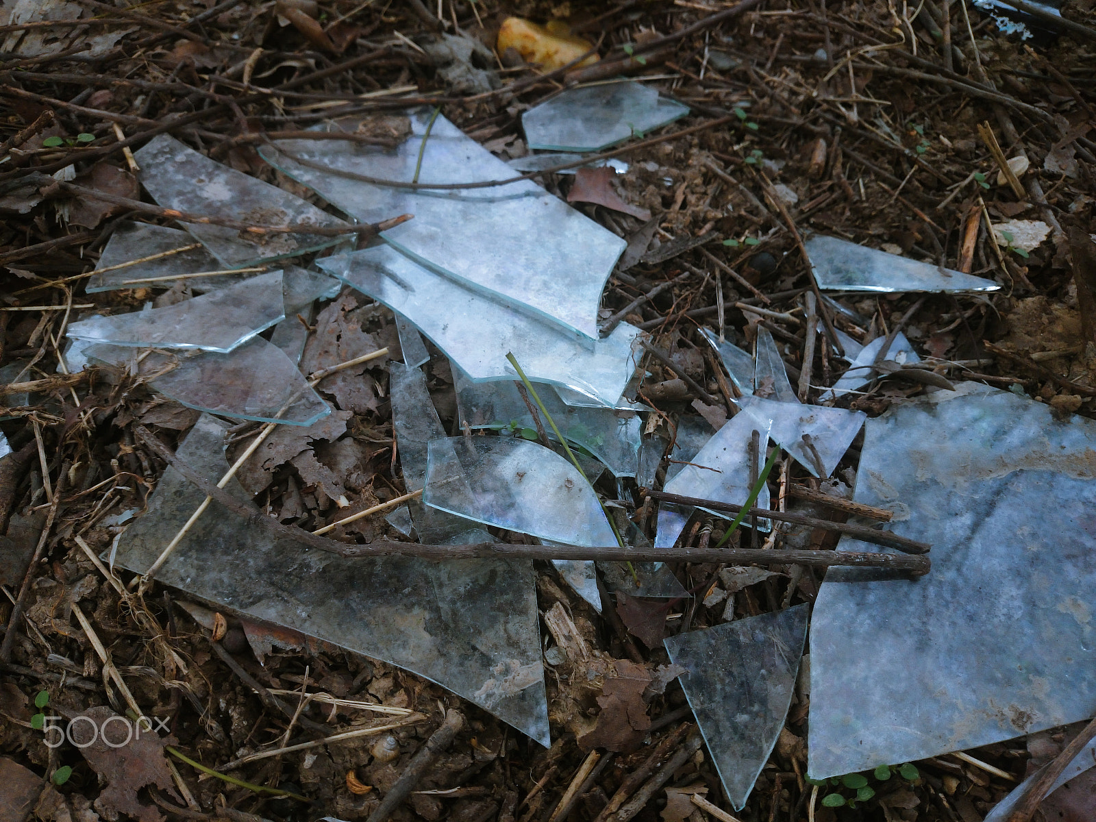 Sony Xperia Z1 Compact sample photo. Broken glass photography