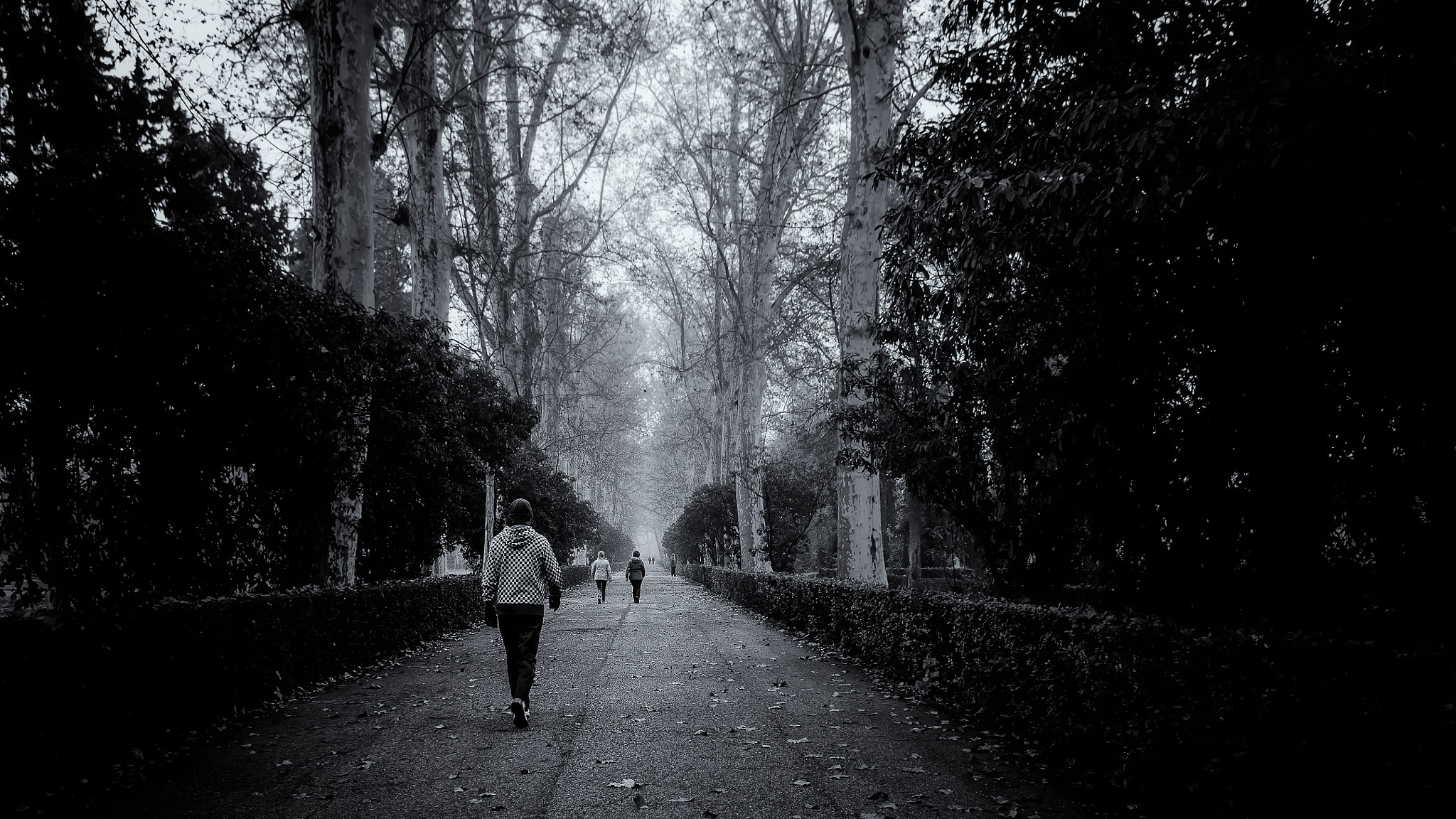 Canon EOS 50D sample photo. Follow me photography
