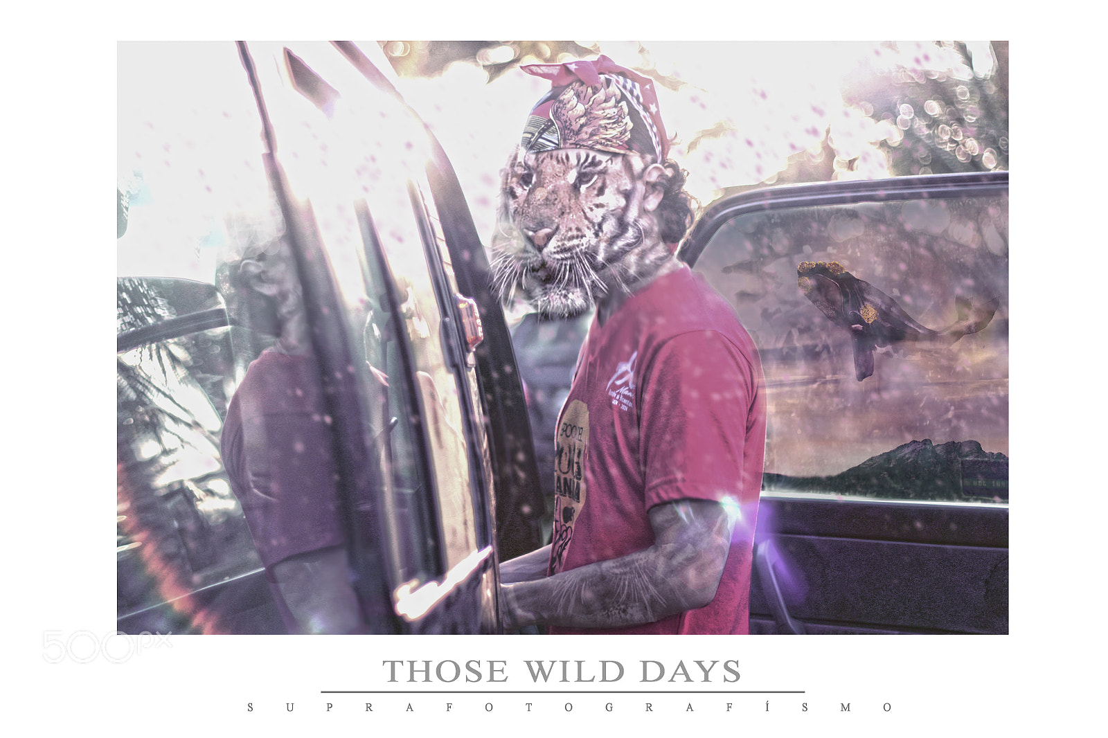 Canon EOS 450D (EOS Rebel XSi / EOS Kiss X2) sample photo. Those wild days photography