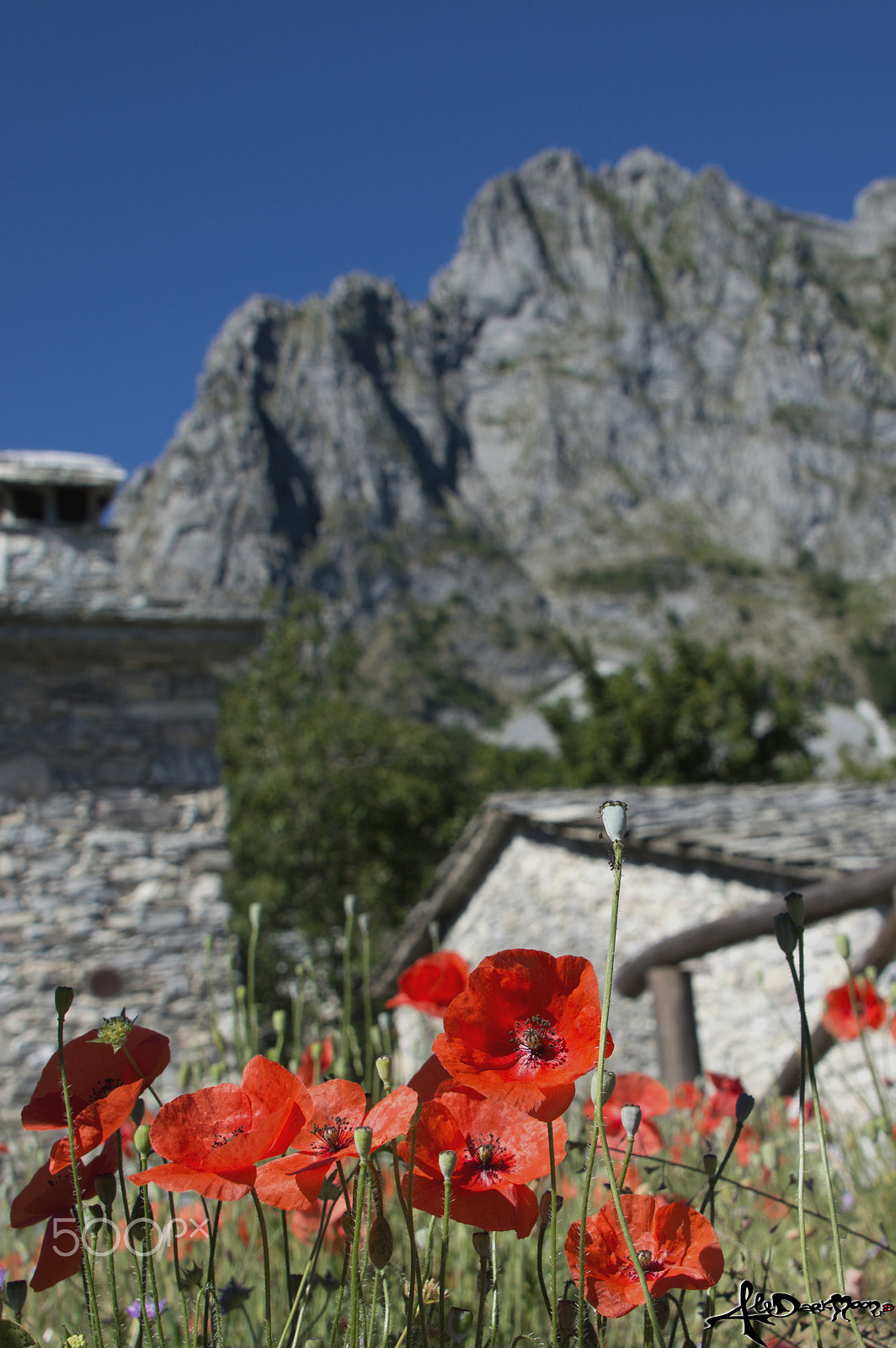 Nikon D3200 sample photo. Summer memories photography