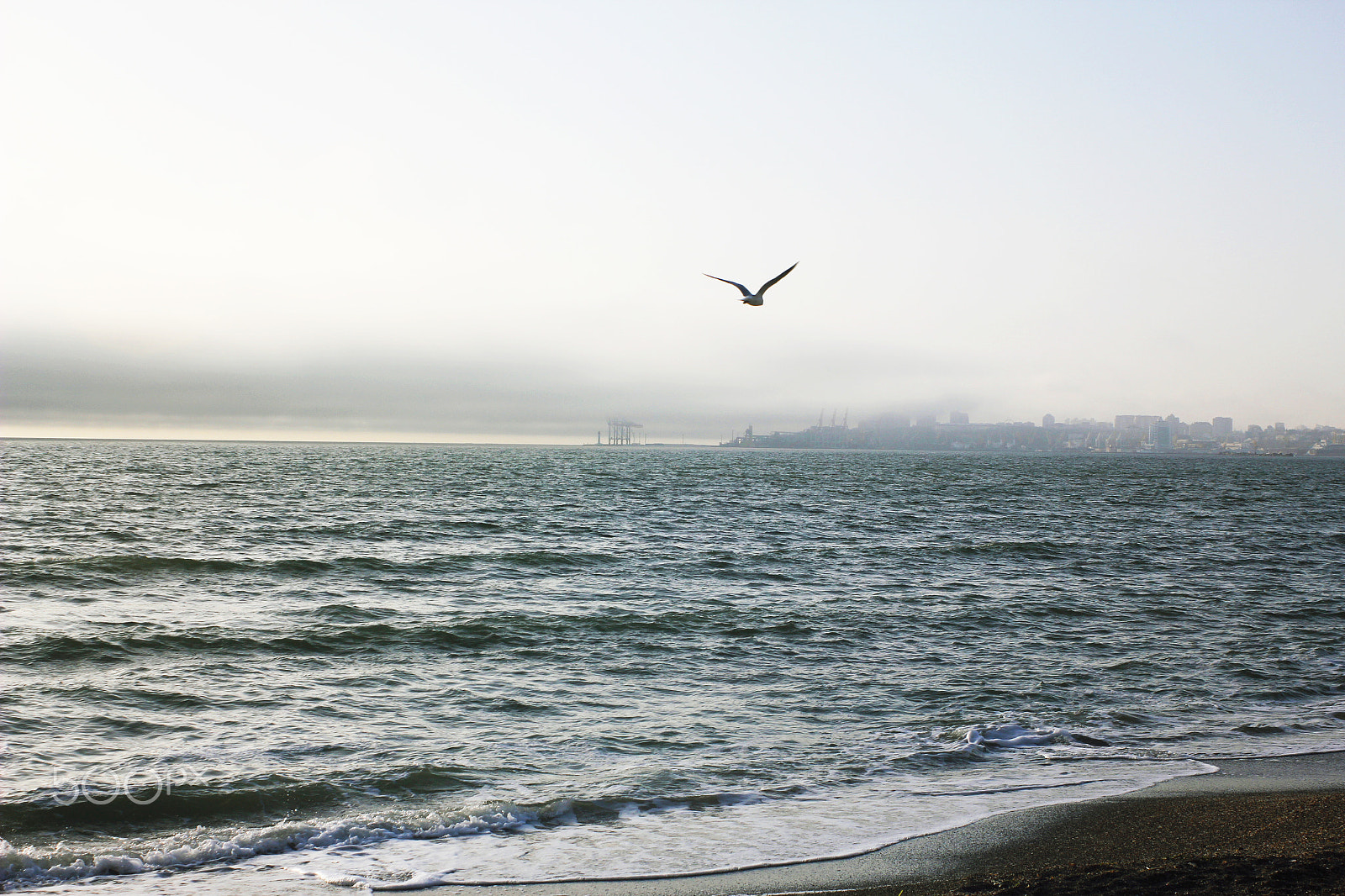Canon EF 35-80mm f/4-5.6 sample photo. Freshness photography