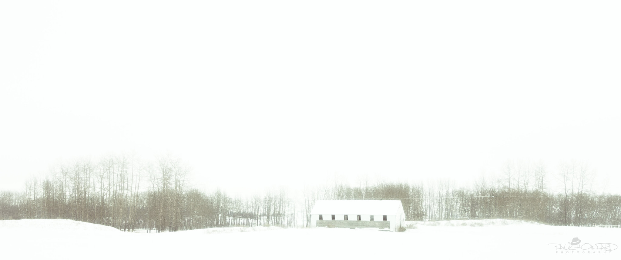 Olympus OM-D E-M1 sample photo. The sound of silence photography