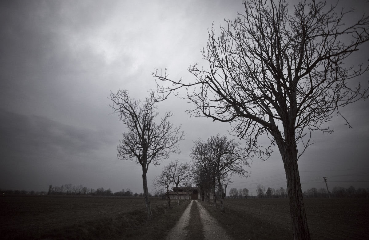 Sigma 17-35mm f/2.8-4 EX DG Aspherical HSM sample photo. The long and straight road photography