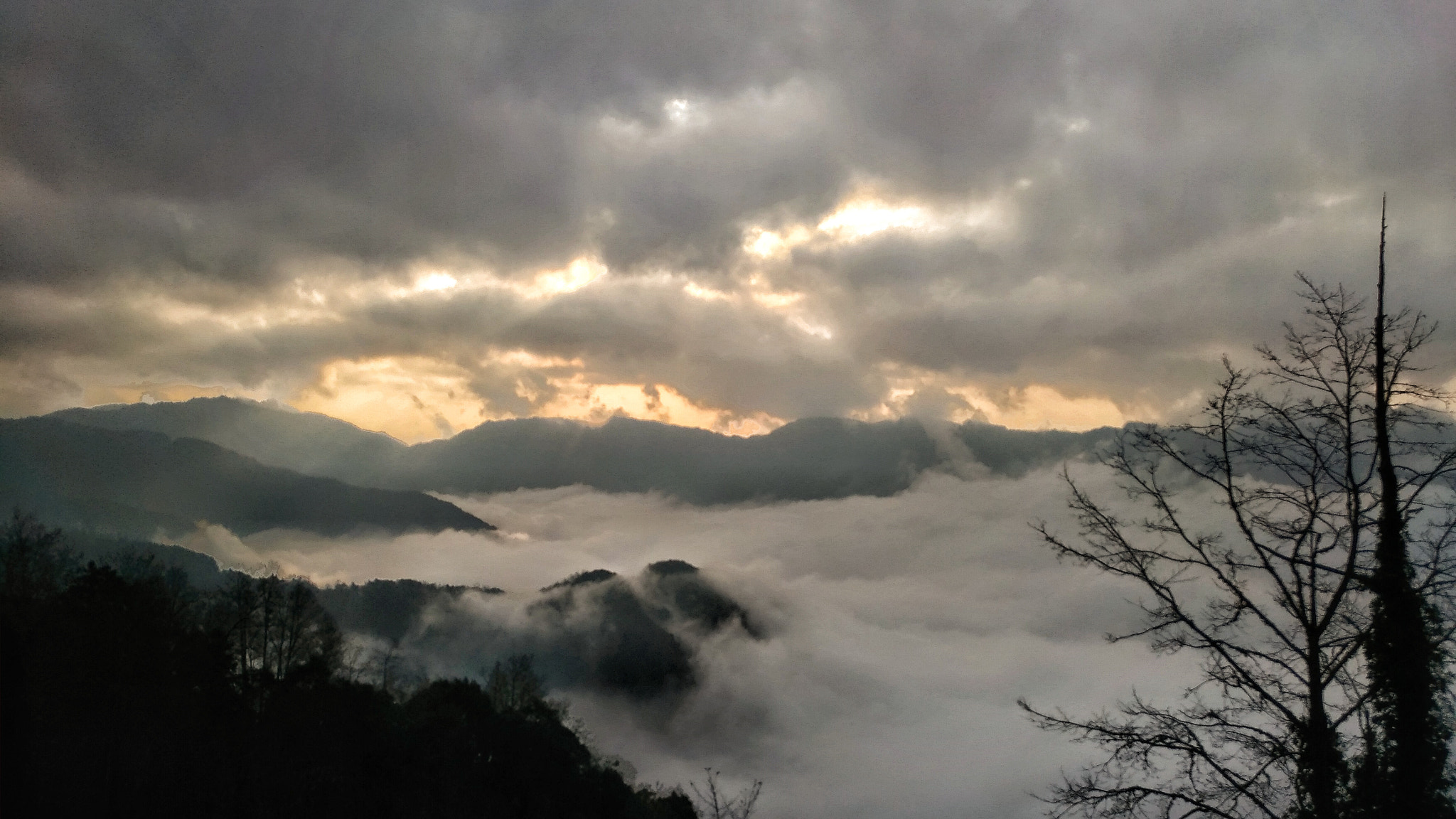 ASUS ZenFone 3 (ZE552KL) sample photo. The sea of cloud photography