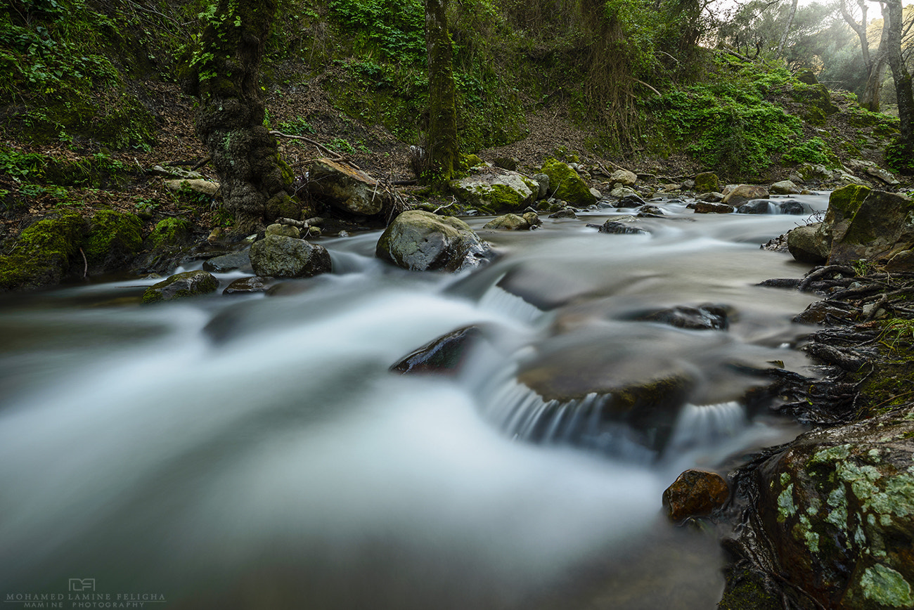 Nikon AF-S Nikkor 18-35mm F3.5-4.5G ED sample photo. Valley photography