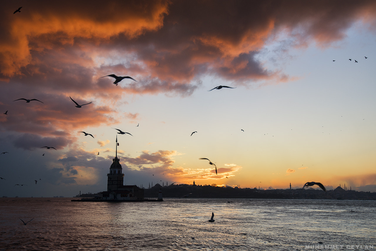 Nikon AF-S Nikkor 16-35mm F4G ED VR sample photo. Sunset photography
