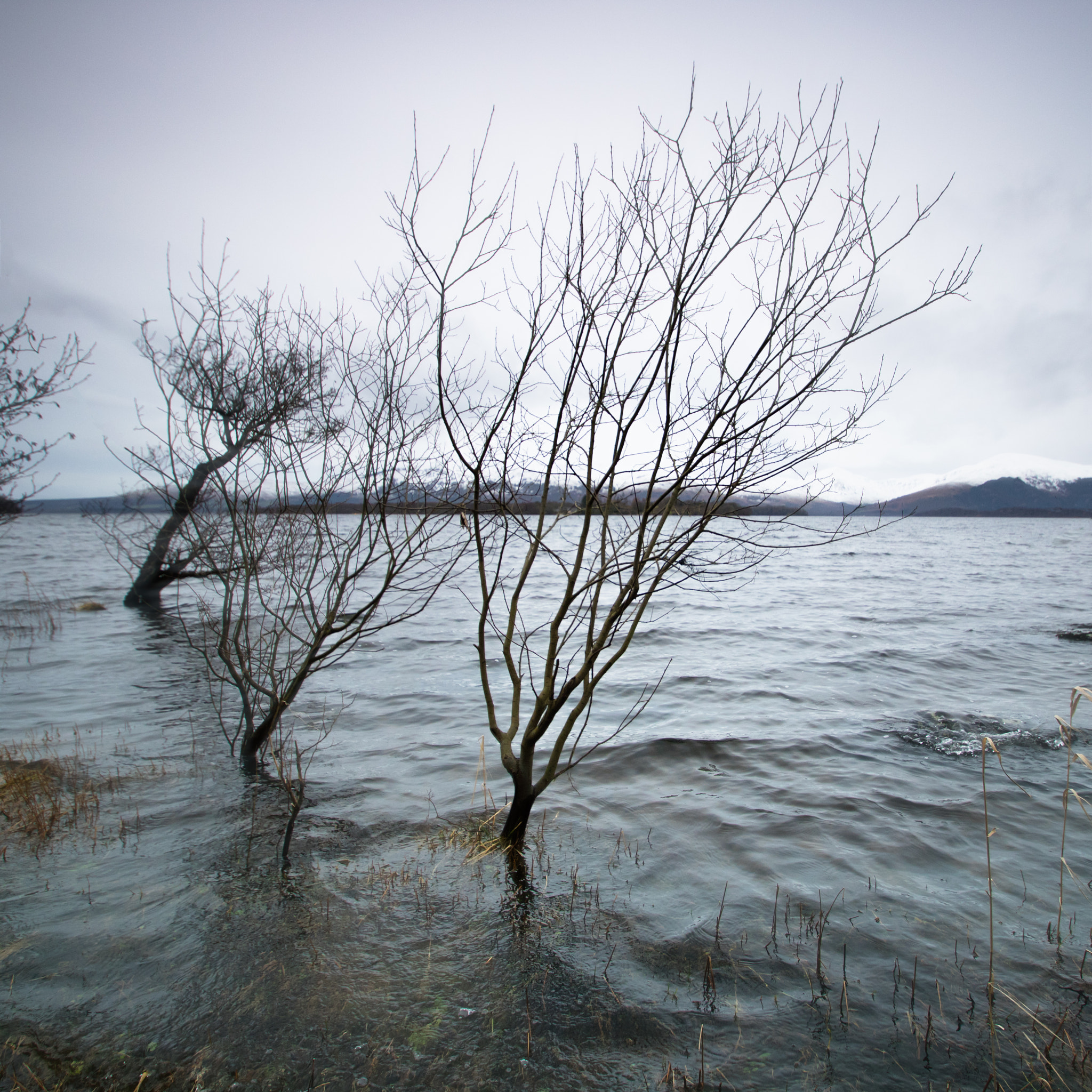 Sigma 10-20mm F3.5 EX DC HSM sample photo. Liminal photography