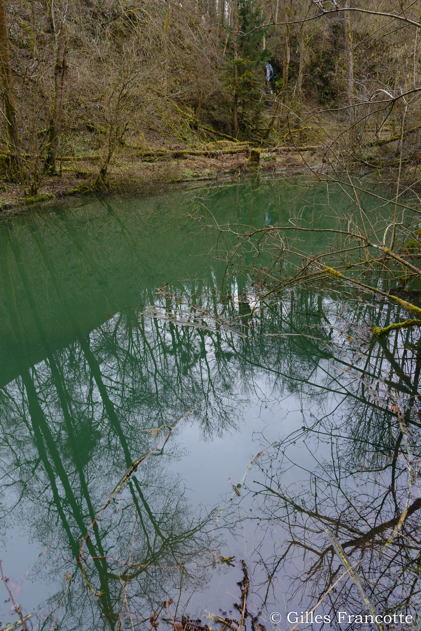 Nikon AF-S Nikkor 20mm F1.8G ED sample photo. Little pond. photography