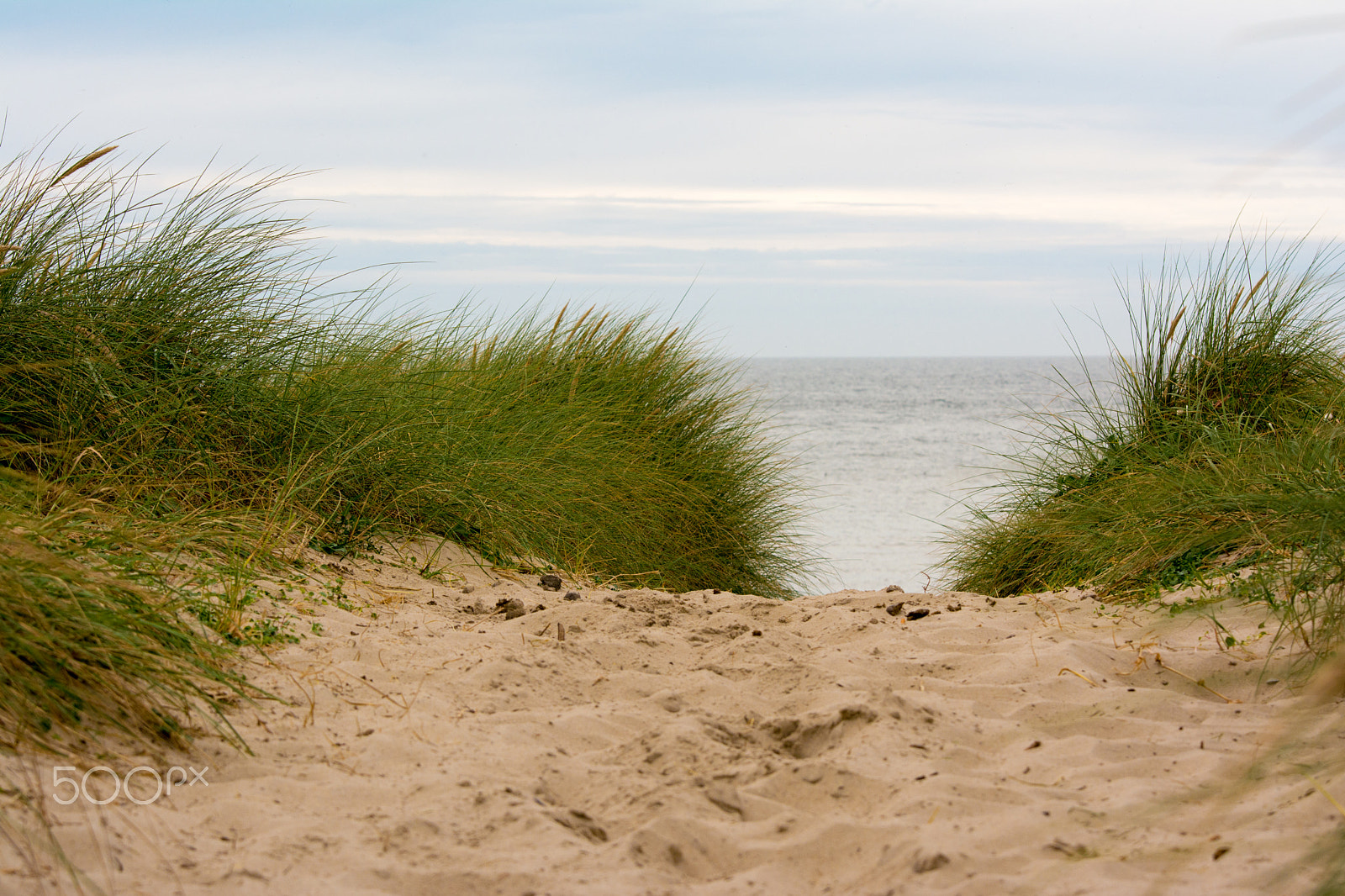 Sigma 70-200mm F2.8 EX DG OS HSM sample photo. Dunes photography