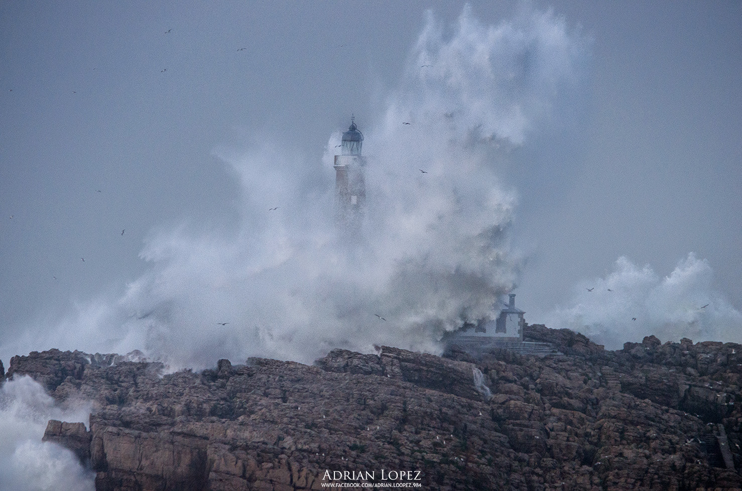 Sigma 150-500mm F5-6.3 DG OS HSM sample photo. Faro photography