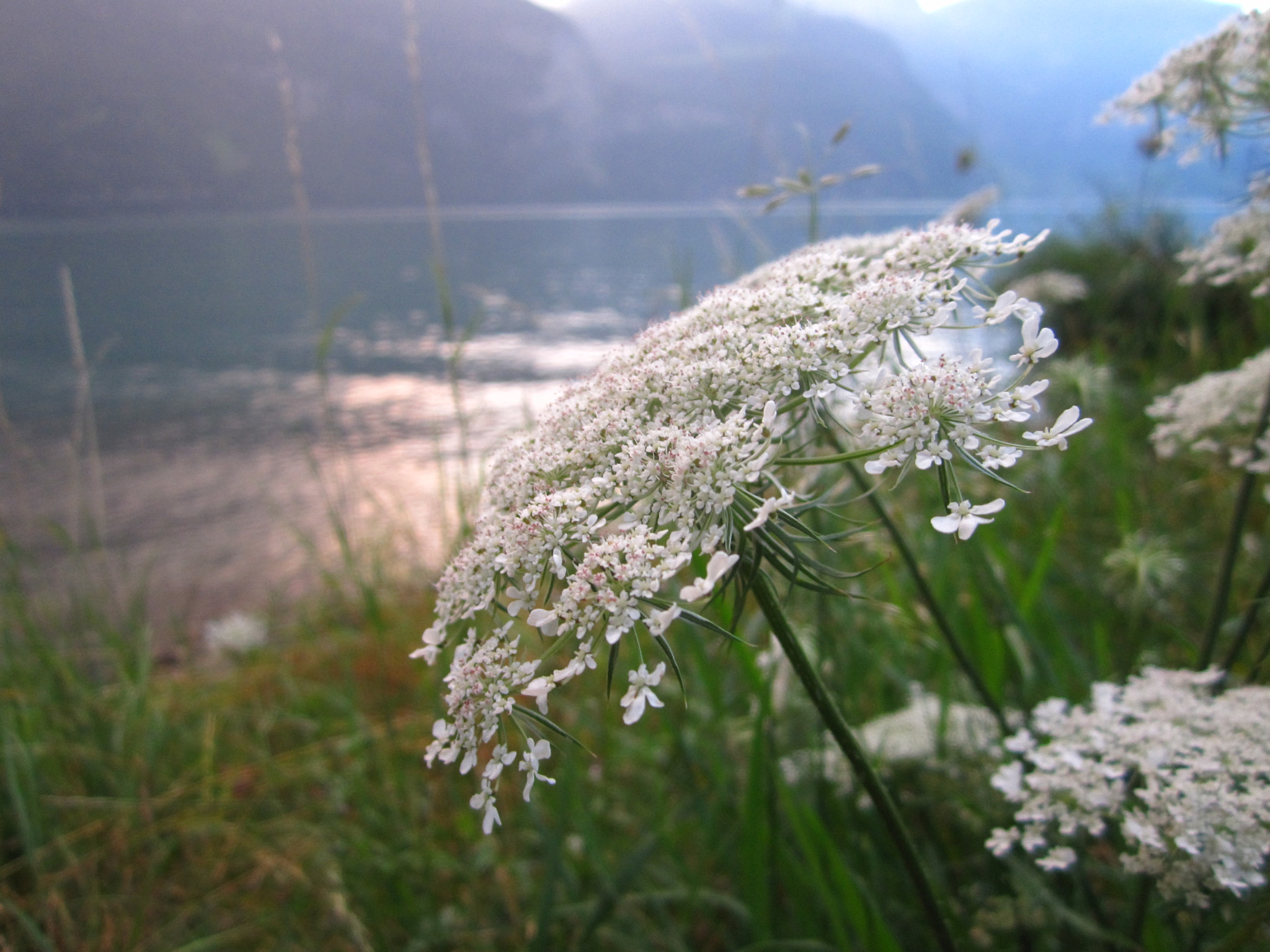 Canon PowerShot SD940 IS (Digital IXUS 120 IS / IXY Digital 220 IS) sample photo. Just before the rain came photography