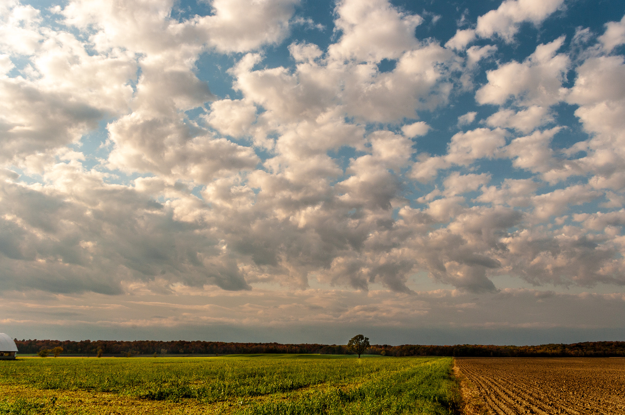 Pentax smc DA 18-55mm F3.5-5.6 ED AL II (IF) sample photo. Half plowed field photography