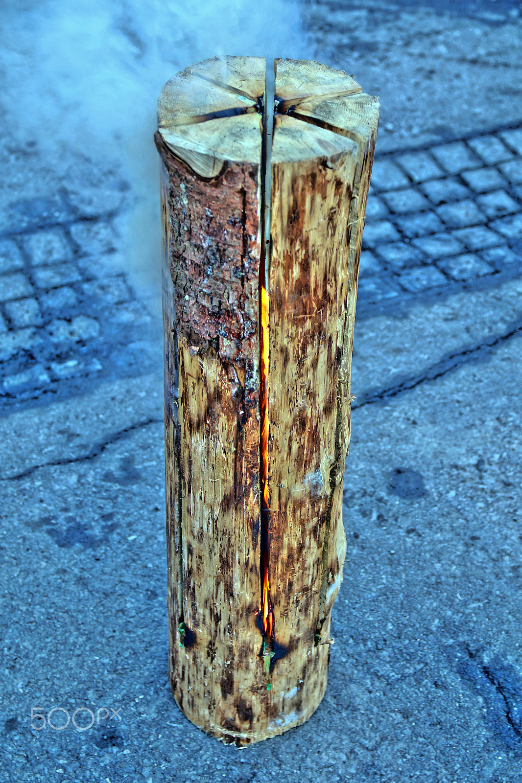 Canon EOS 7D Mark II + Sigma 17-70mm F2.8-4 DC Macro OS HSM sample photo. Tree trunk burning from inside by willie b photography