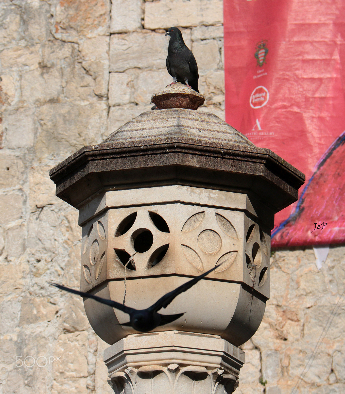 Canon EOS 760D (EOS Rebel T6s / EOS 8000D) sample photo. This is my column! (dubrovnik, croatia) photography