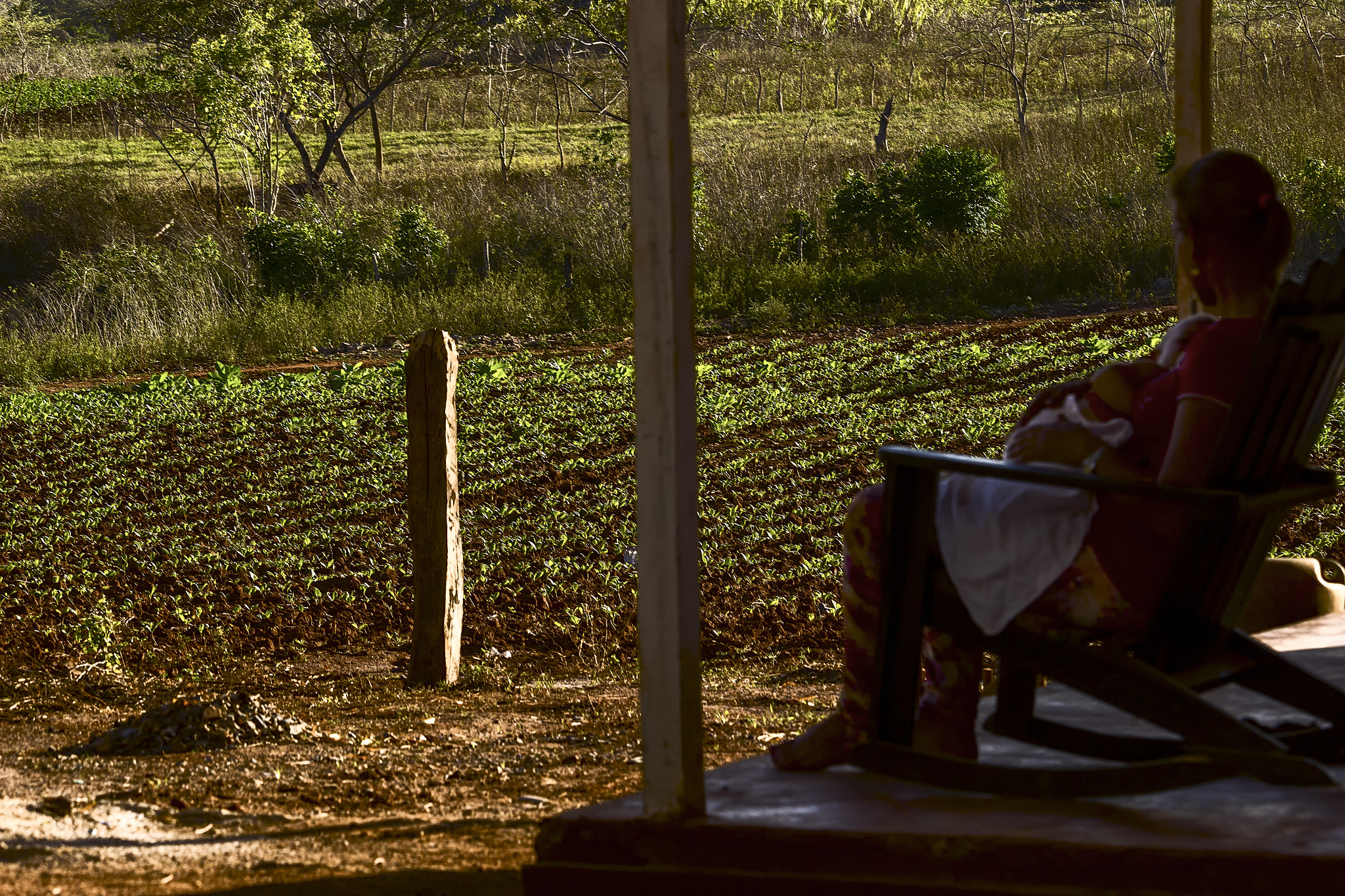 Canon EOS 100D (EOS Rebel SL1 / EOS Kiss X7) + Canon EF-S 55-250mm F4-5.6 IS STM sample photo. Country life in vinales photography