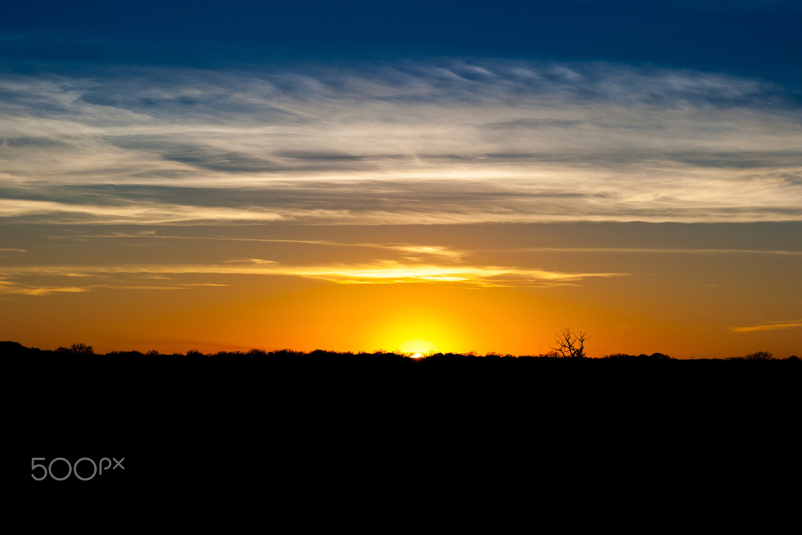 Canon EOS 400D (EOS Digital Rebel XTi / EOS Kiss Digital X) sample photo. Golden sunset photography