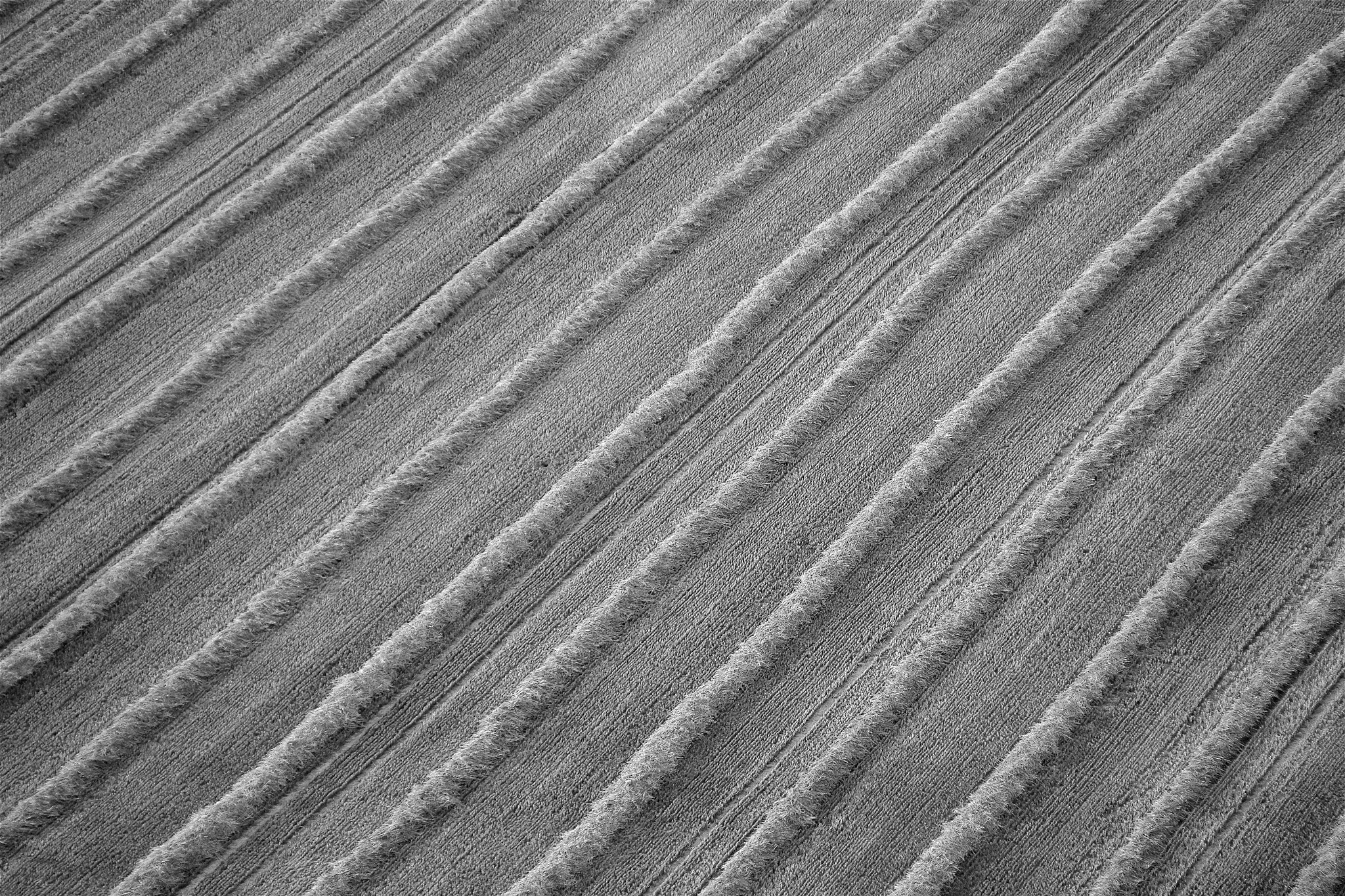 Pentax smc DA* 50-135mm F2.8 ED (IF) SDM sample photo. Landscape impressions in black&white photography